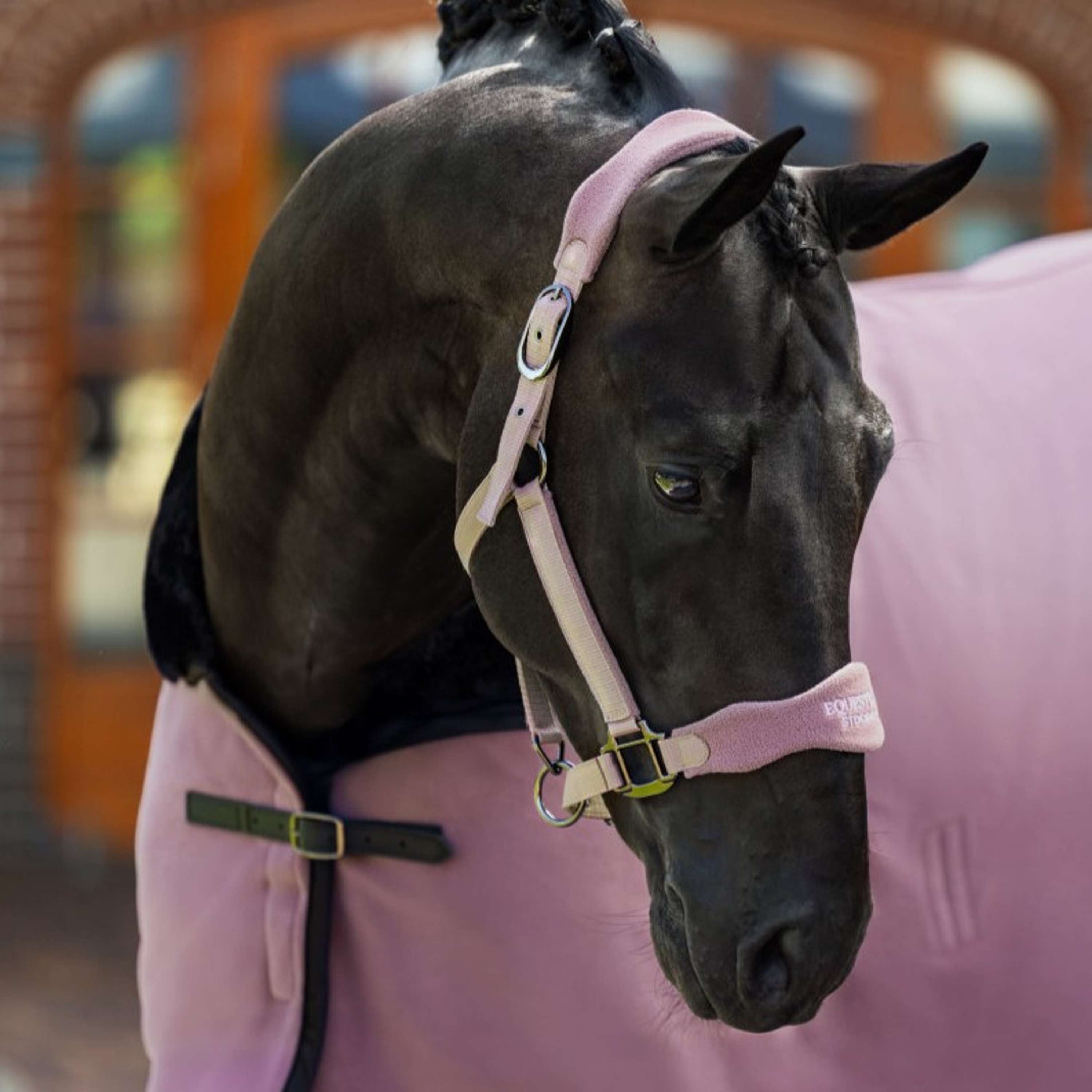 Equestrian Stockholm Halter Anatomic Fleece Blush