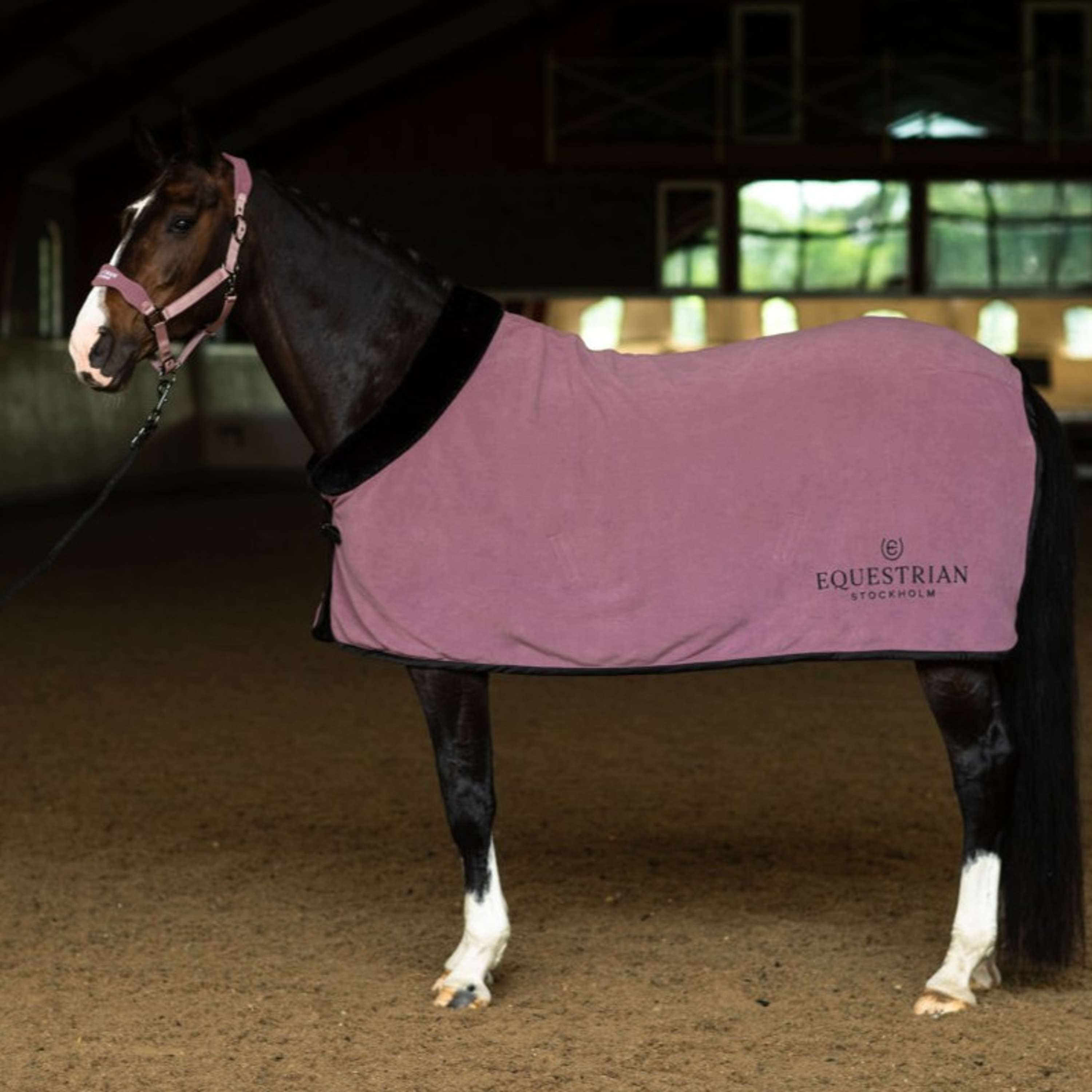 Equestrian Stockholm Halter Anatomic Fleece Blush