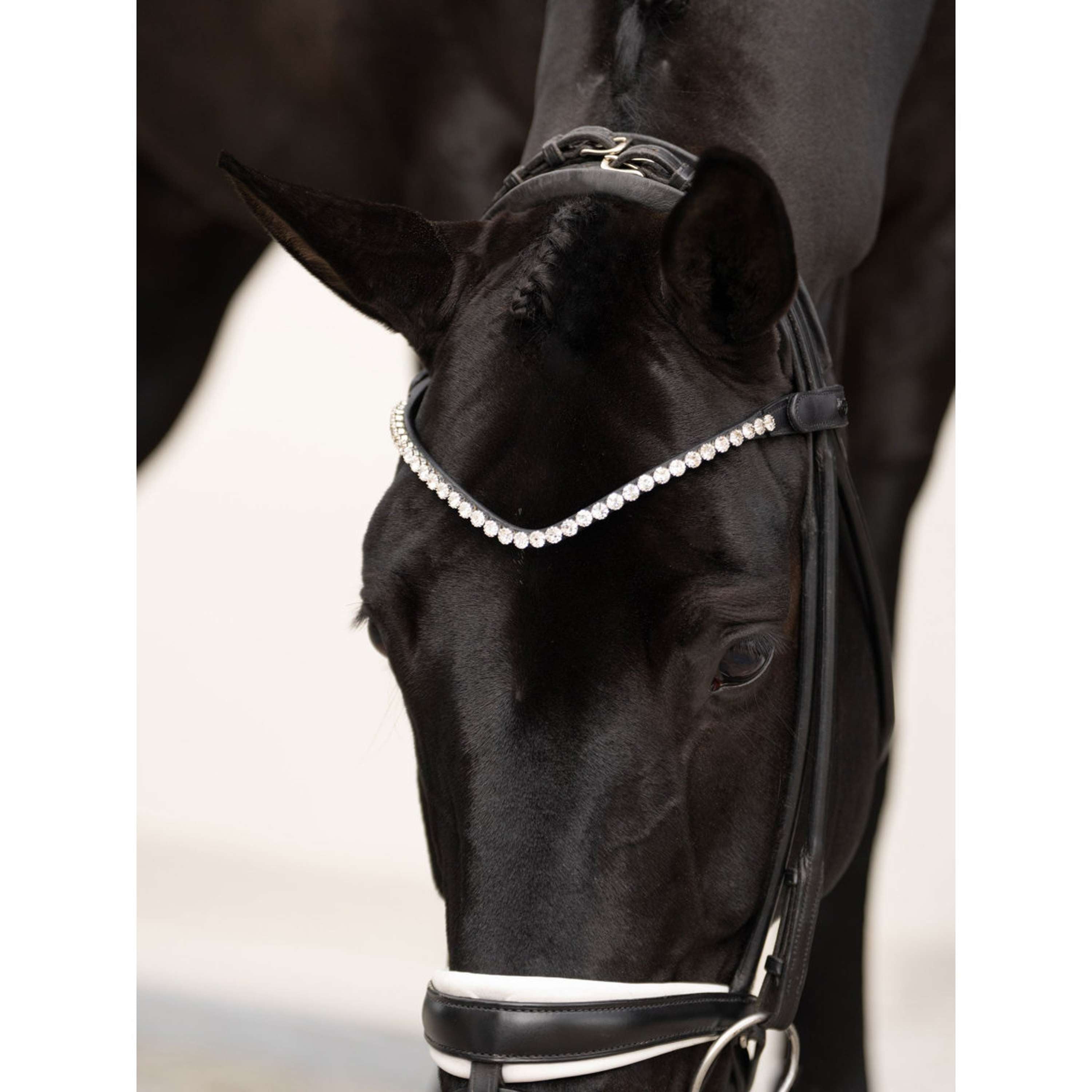 Equestrian Stockholm Browband Faded 8mm Crystal