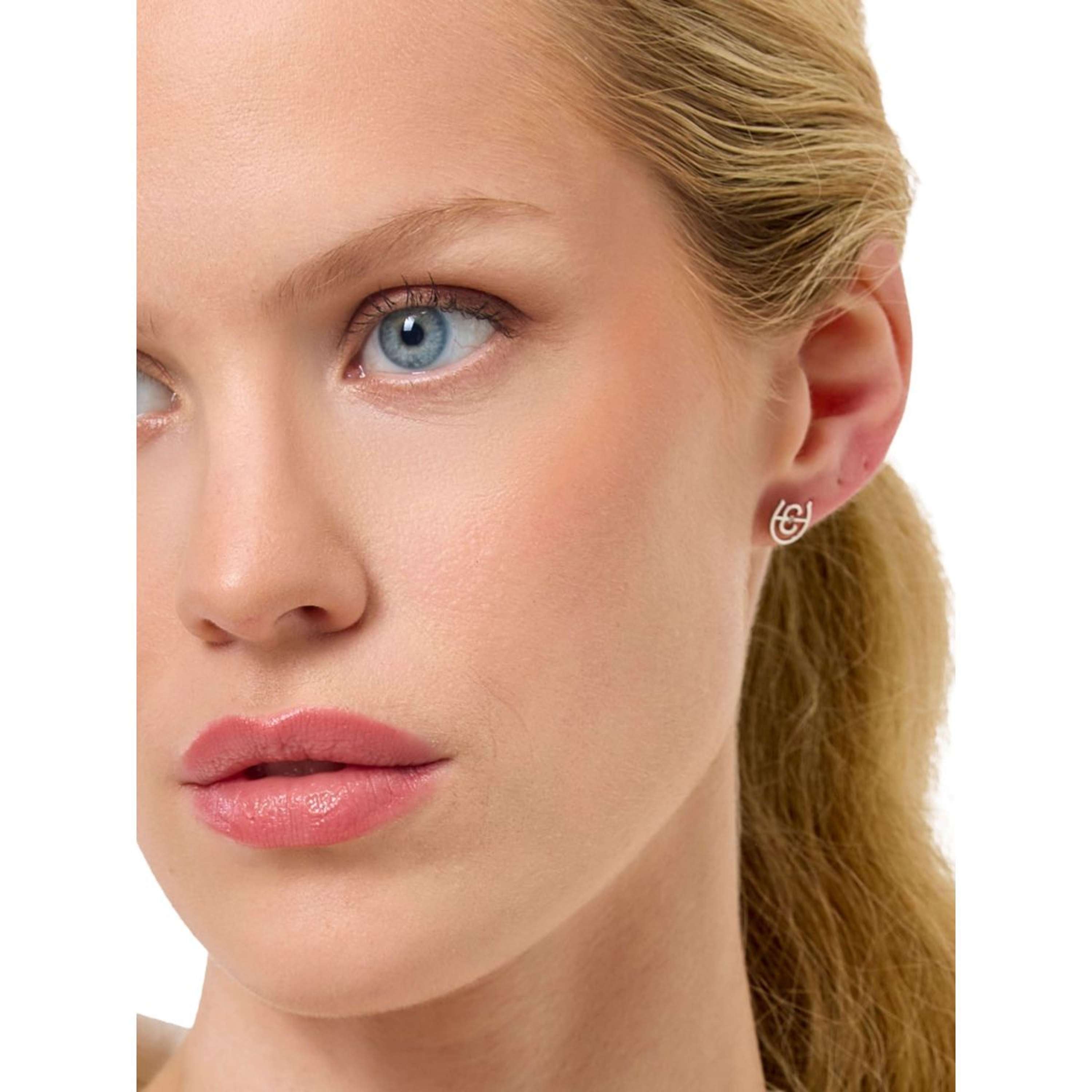 Equestrian Stockholm Earrings Logo Silver