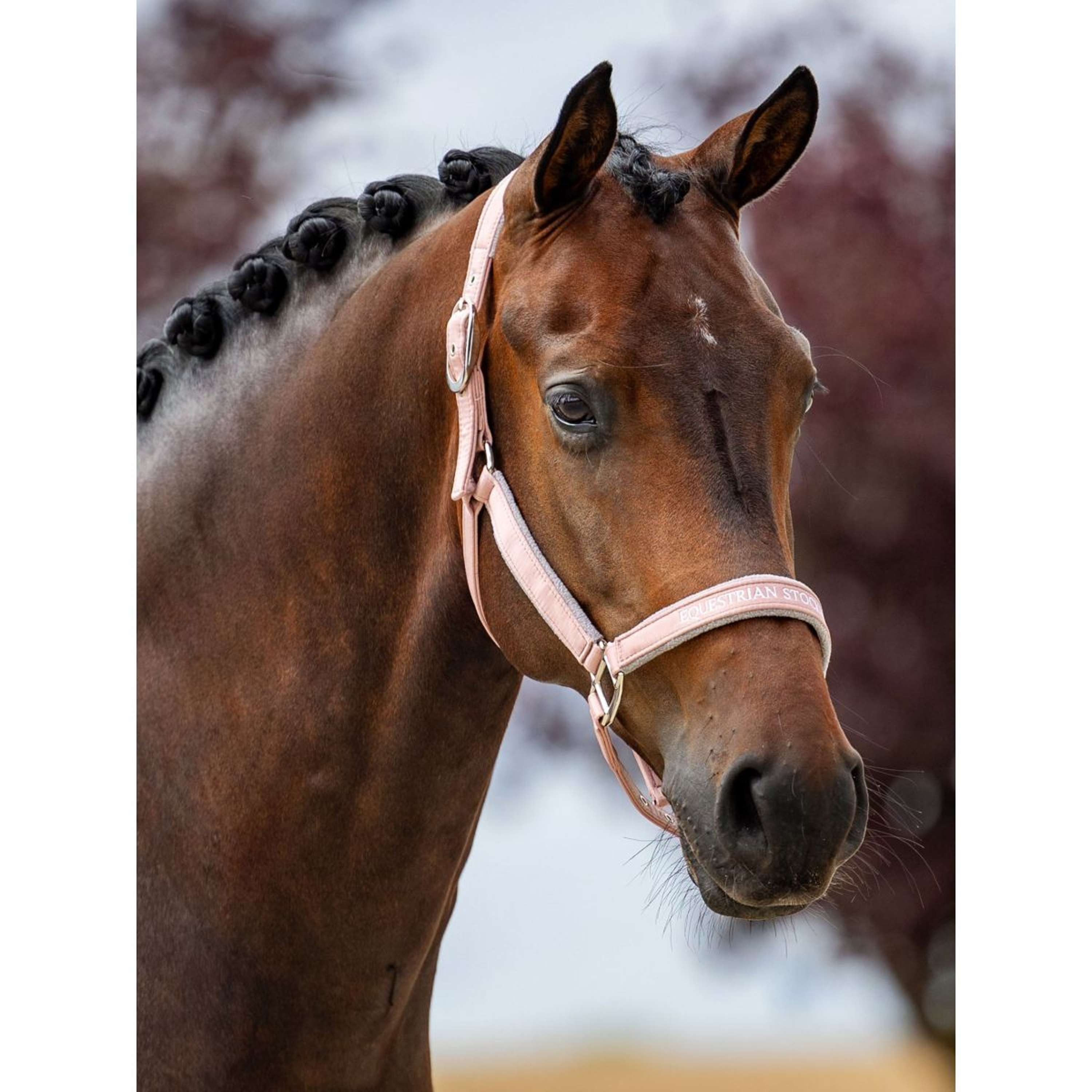 Equestrian Stockholm Halter Line Pink