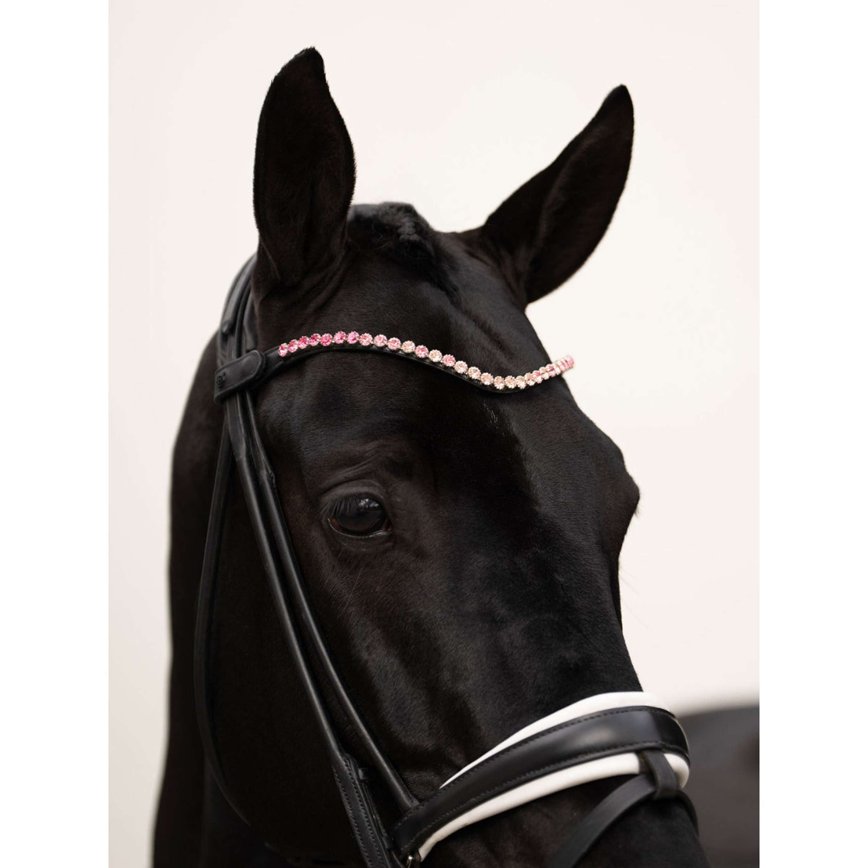 Equestrian Stockholm Browband Faded 8mm Pink