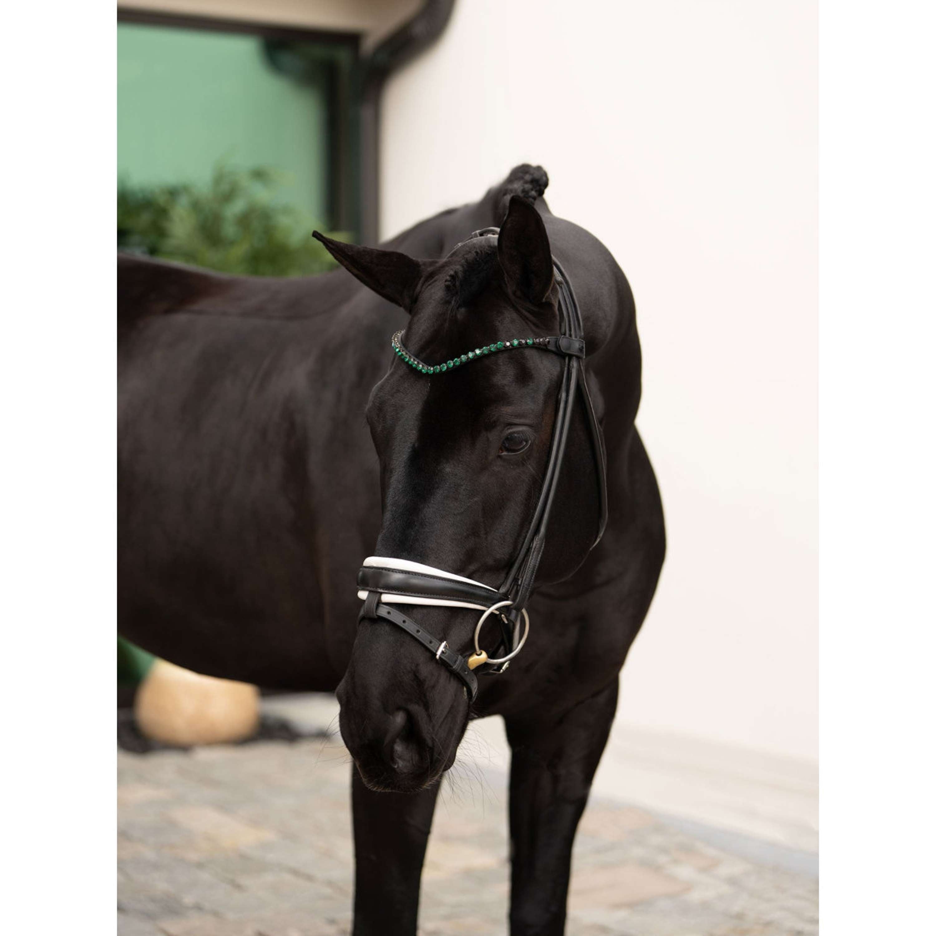 Equestrian Stockholm Browband Faded 8mm Sycamore Green