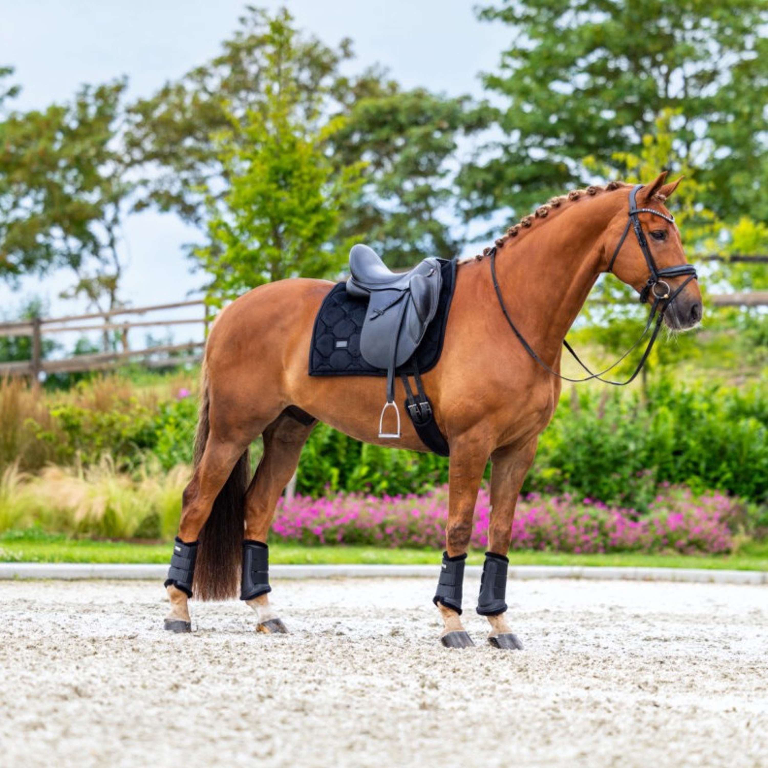 Equestrian Stockholm Saddlepad Velvet Dressage Black