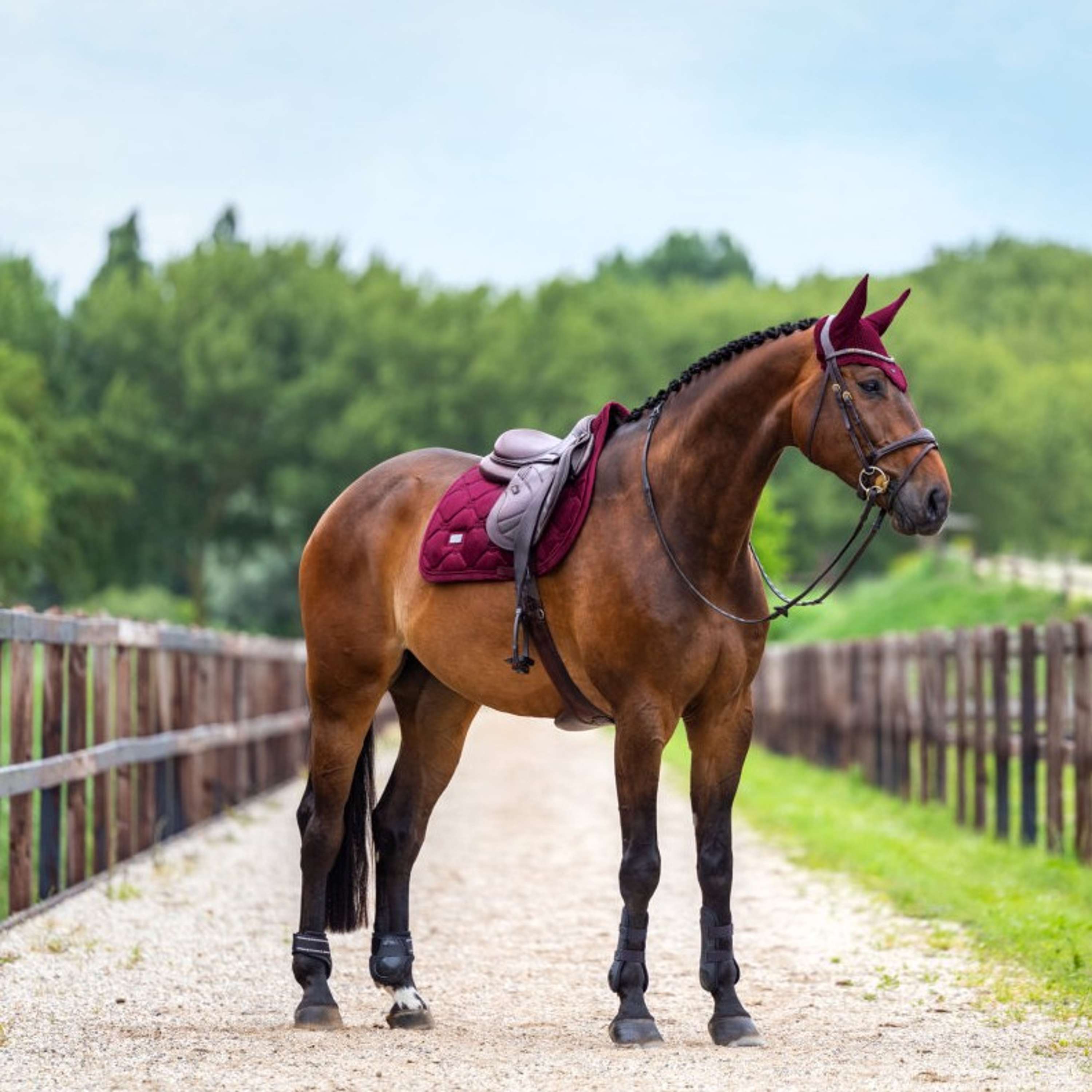 Equestrian Stockholm Ear Bonnet Velvet Merlot