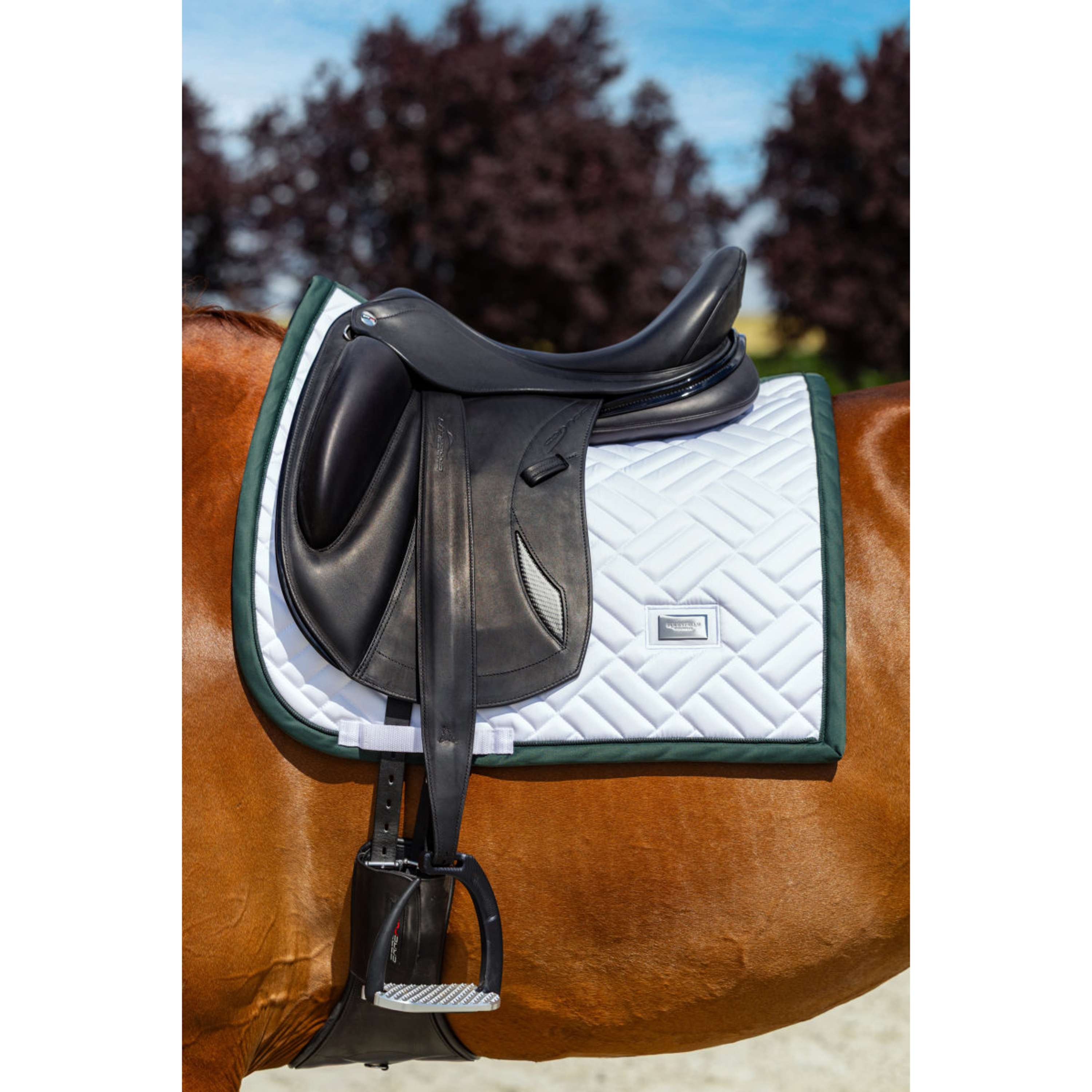 Equestrian Stockholm Saddlepad Modern Dressage White/Sycamore Green