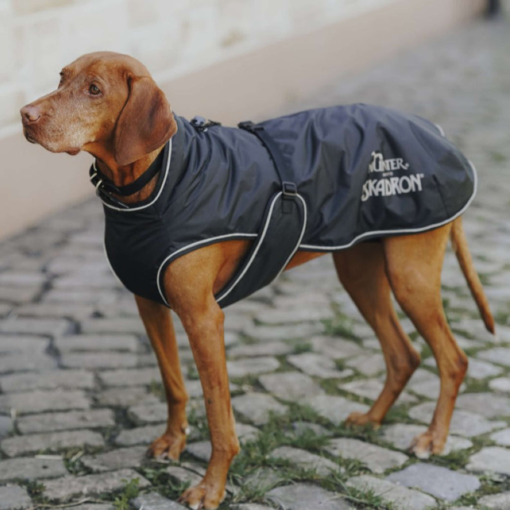 Hunter x Eskadron Dog Winter Coat Vario Black