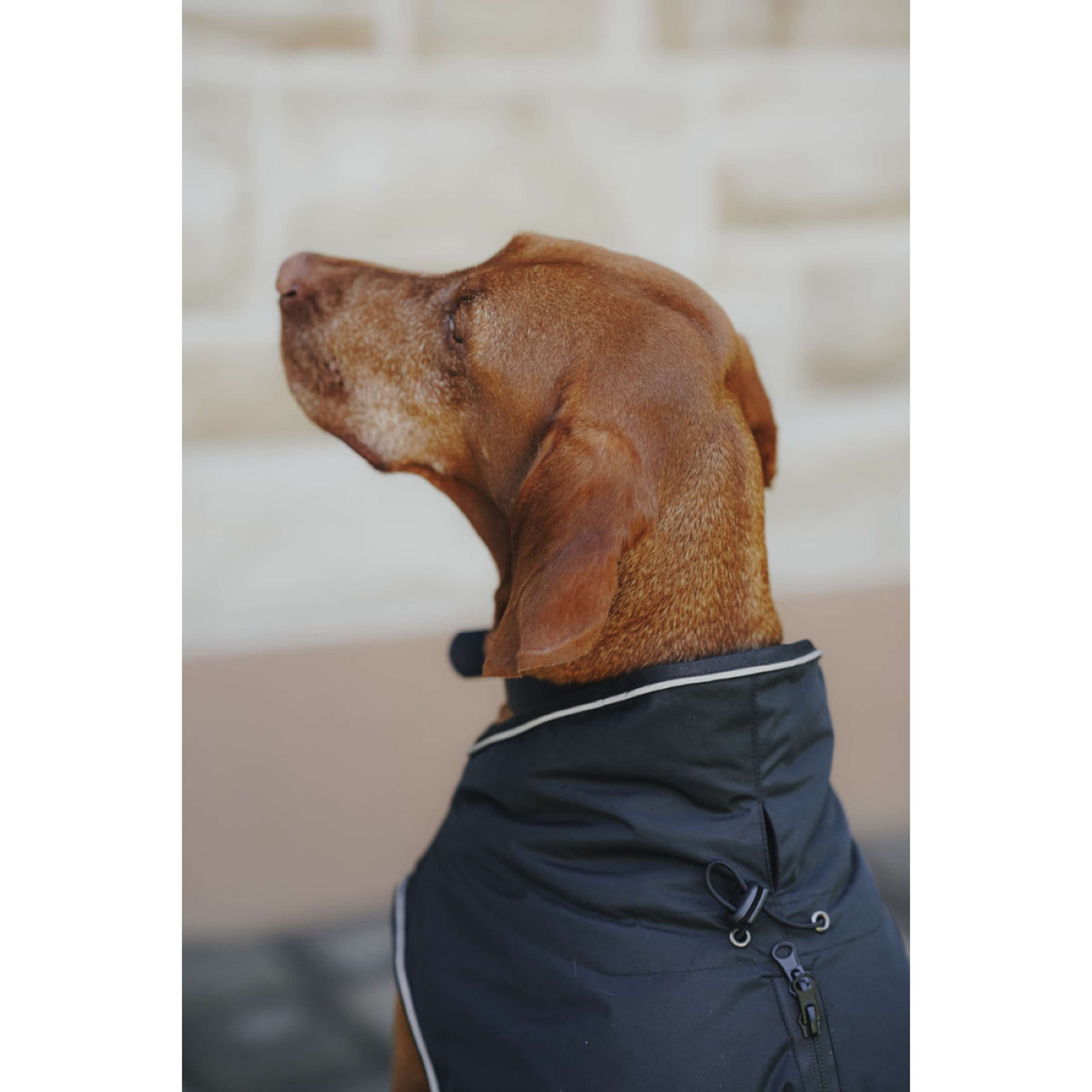 Hunter x Eskadron Dog Winter Coat Vario Black