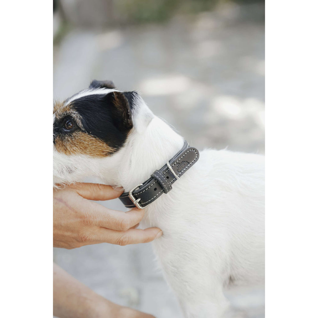 Hunter x Eskadron Dog Collar Craft Black