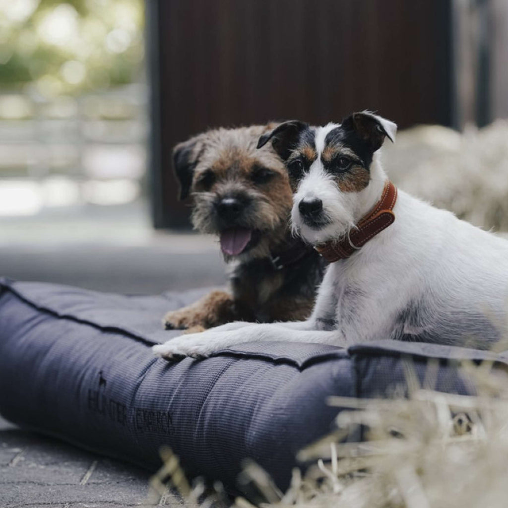 Hunter x Eskadron Dog Bed Chester Anthracite checked