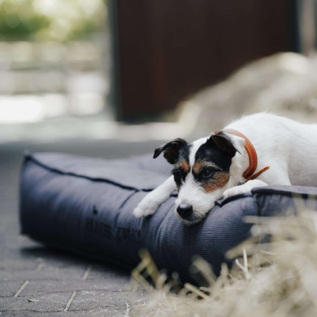 Hunter x Eskadron Dog Bed Chester Anthracite checked