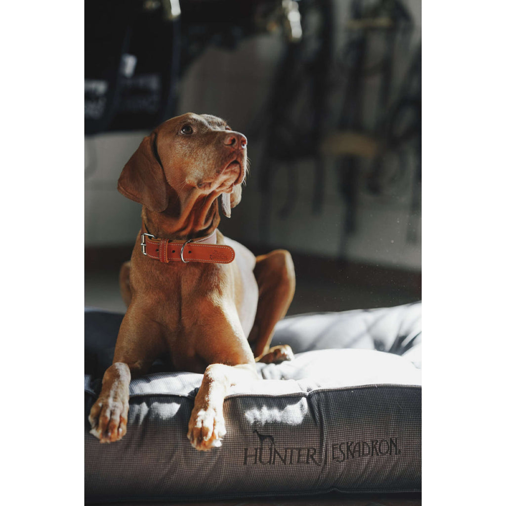 Hunter x Eskadron Dog Bed Chester Anthracite checked