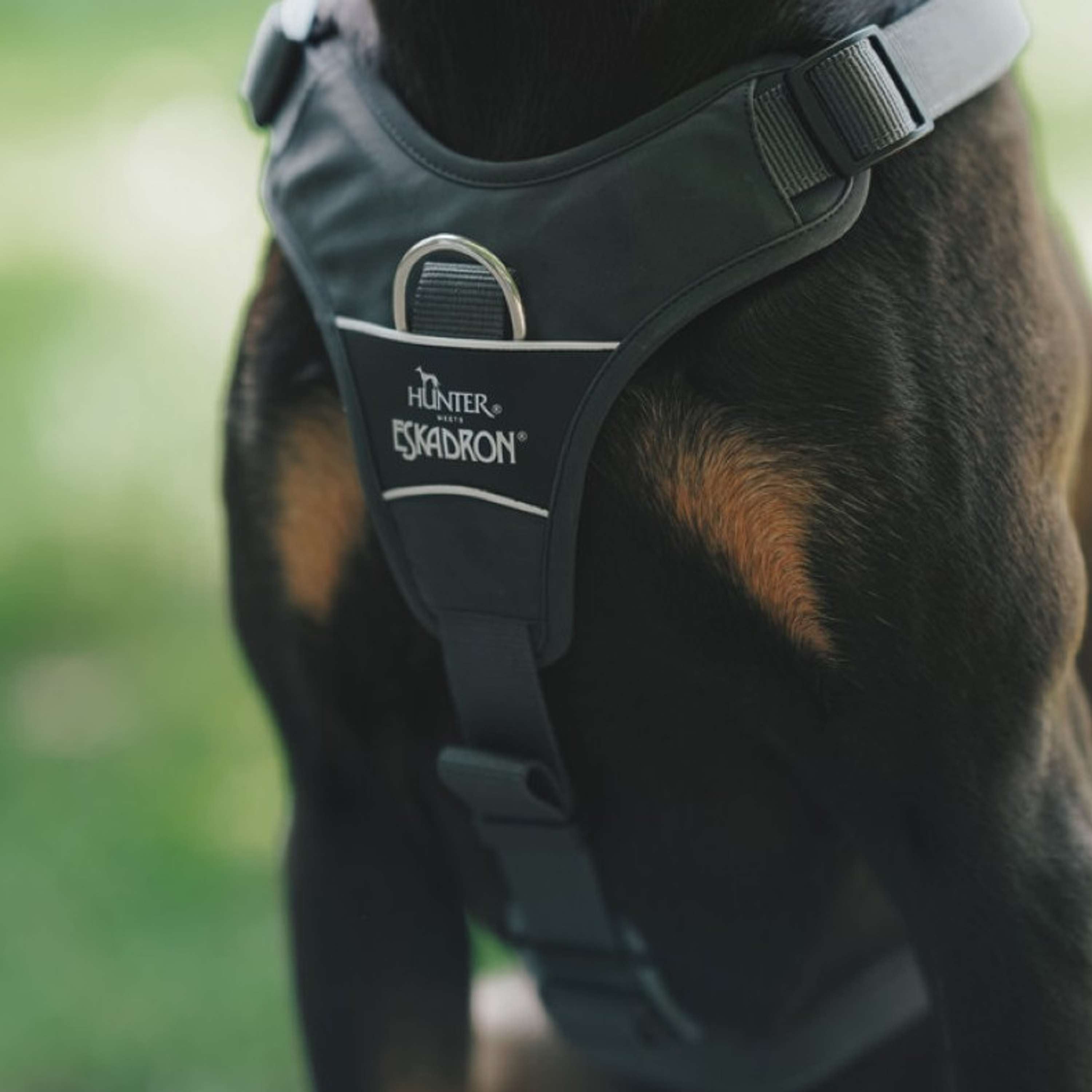Hunter x Eskadron Dog Harness Motion Reflect Anthracite