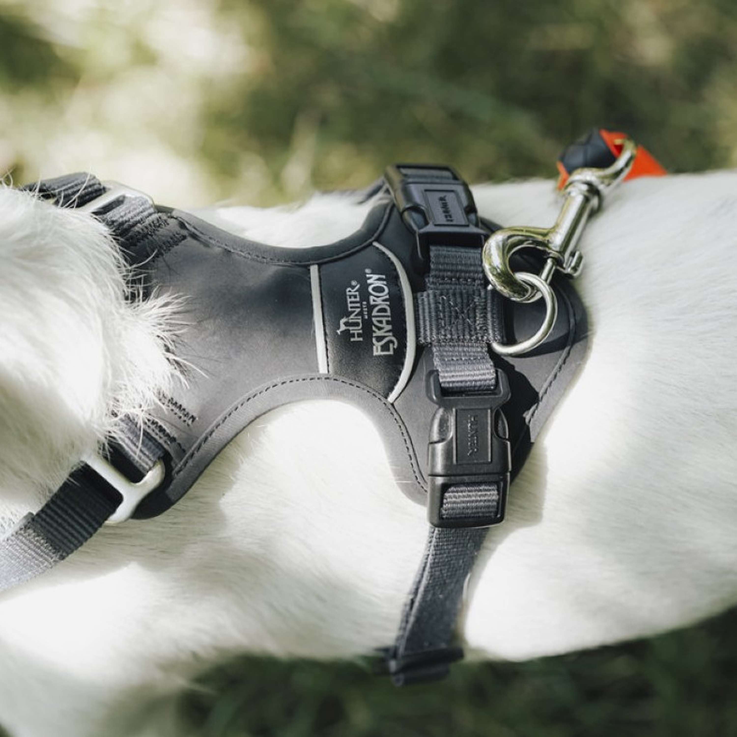 Hunter x Eskadron Dog Harness Motion Reflect Anthracite
