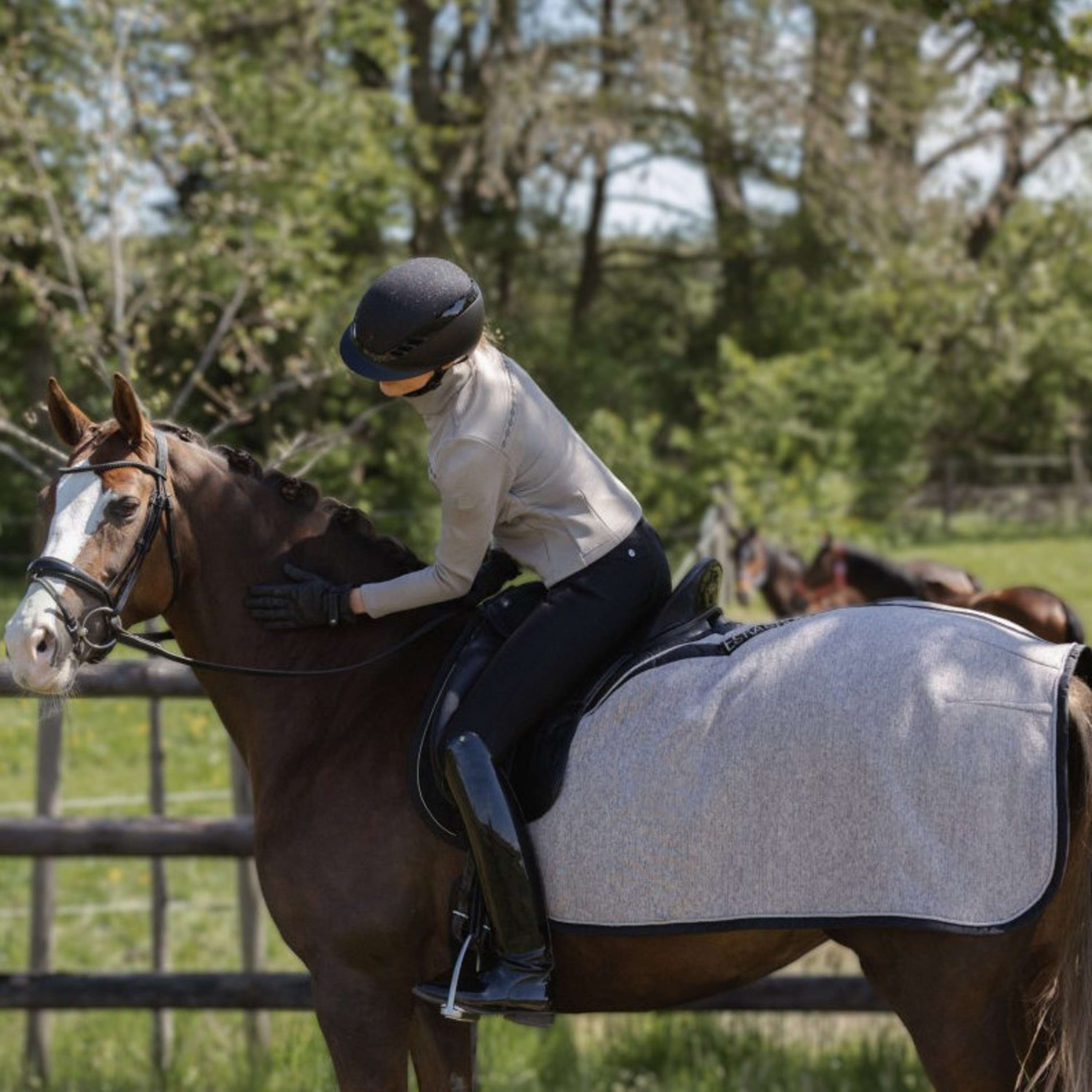 Eskadron Breeches Heritage Full Grip Black
