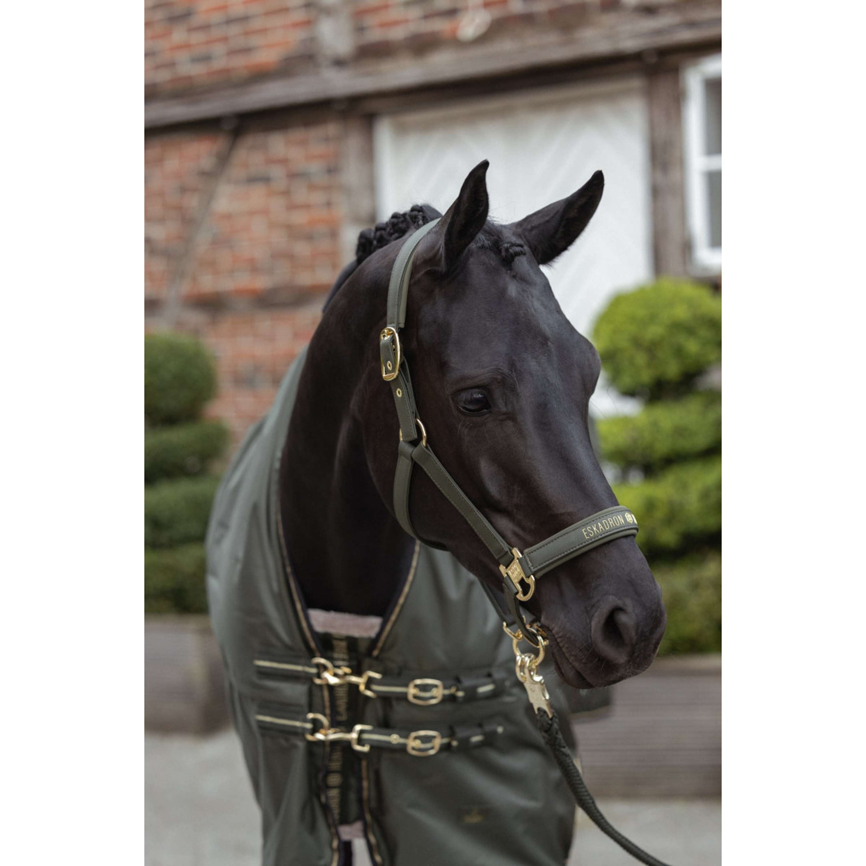 Eskadron Halter Heritage Faux Leather Double Pin Deep Moss