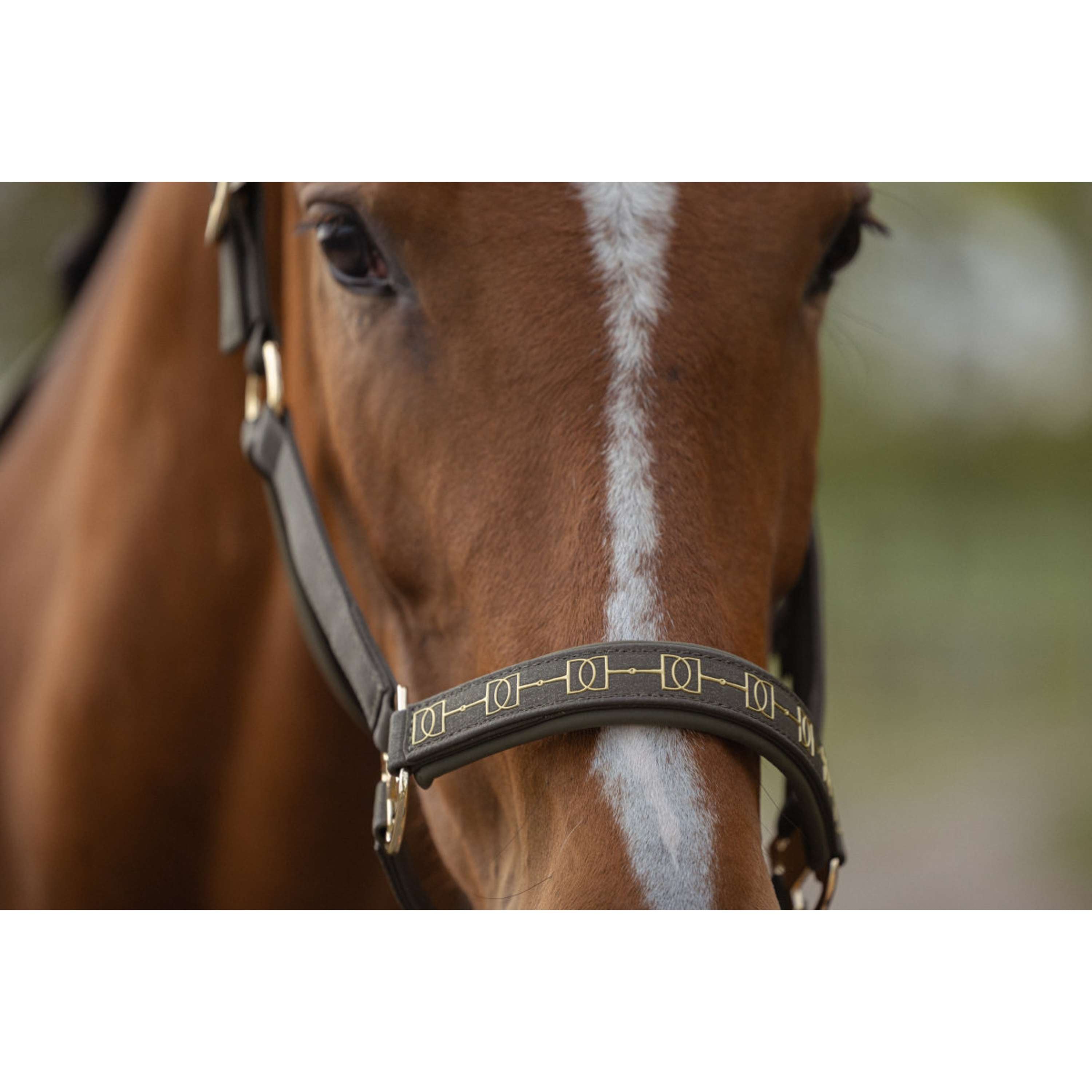 Eskadron Halter Heritage Sparkle Double Pin Deep Moss