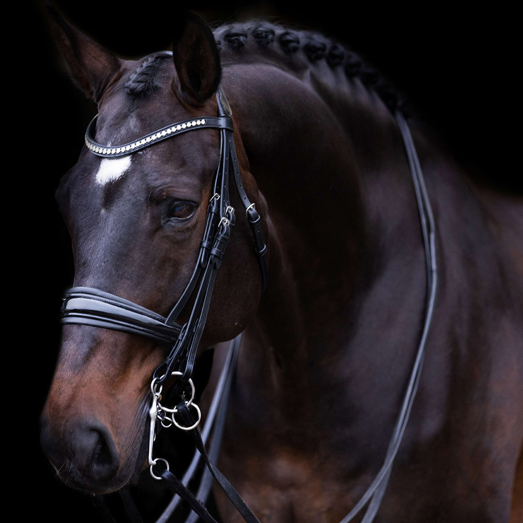 Imperial Riding Double Bridle IRHFria Black