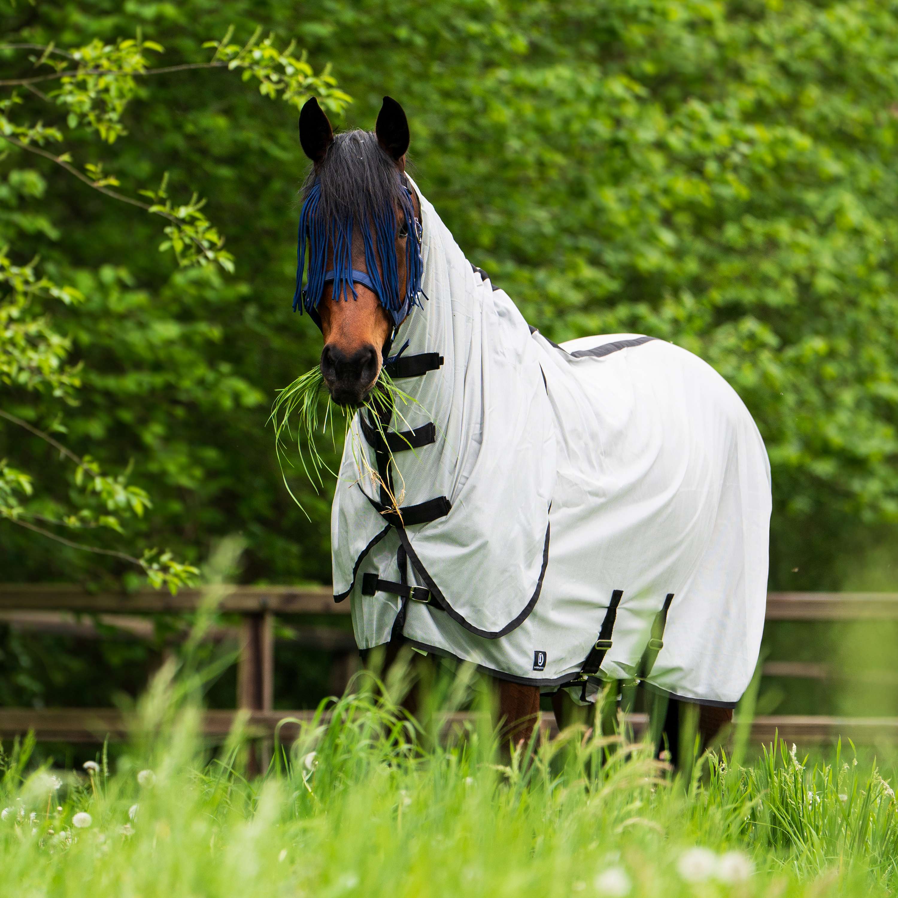 Imperial Riding Fly Rug IRHReese Silver Grey
