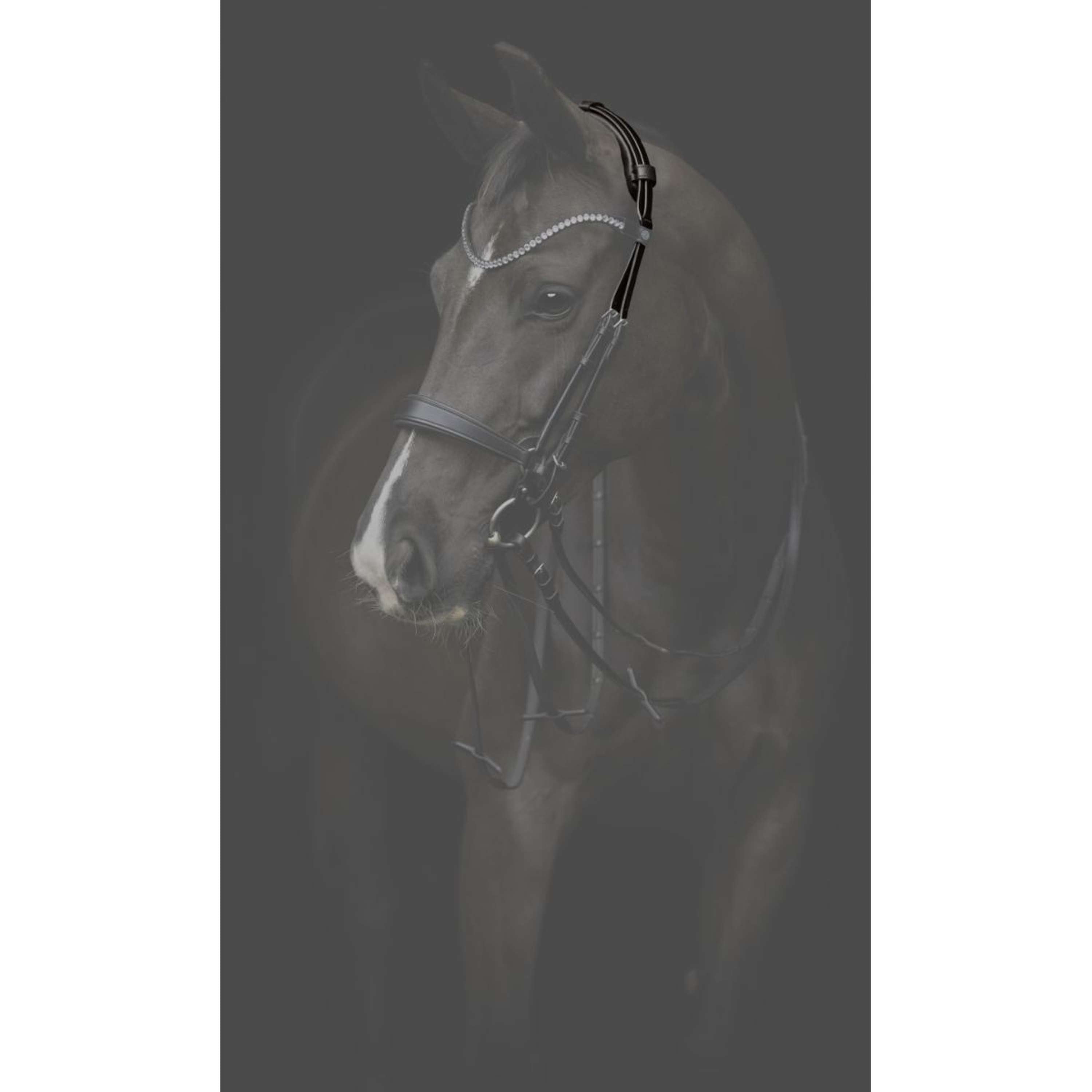Catago Head Piece Gentle Brown
