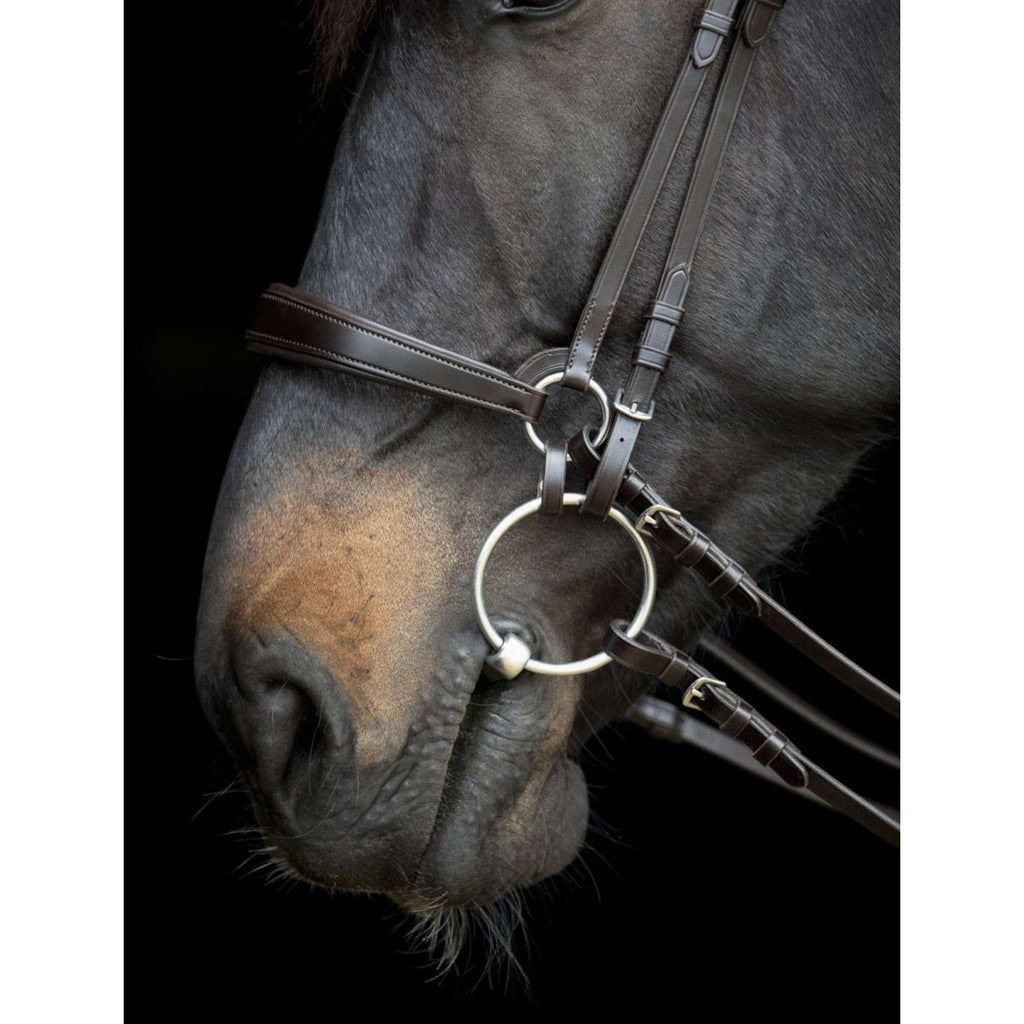 Catago Nose Band Gentle Brown