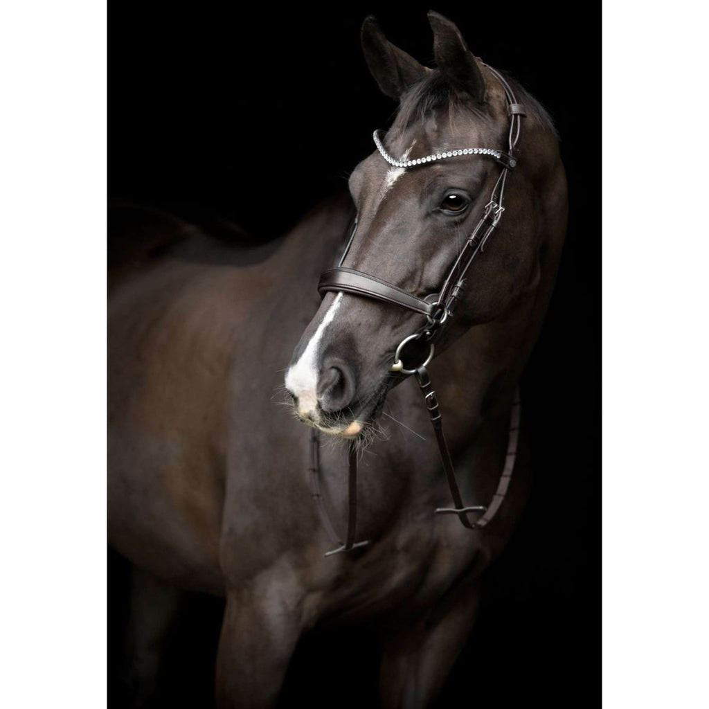 Catago Nose Band Gentle Brown