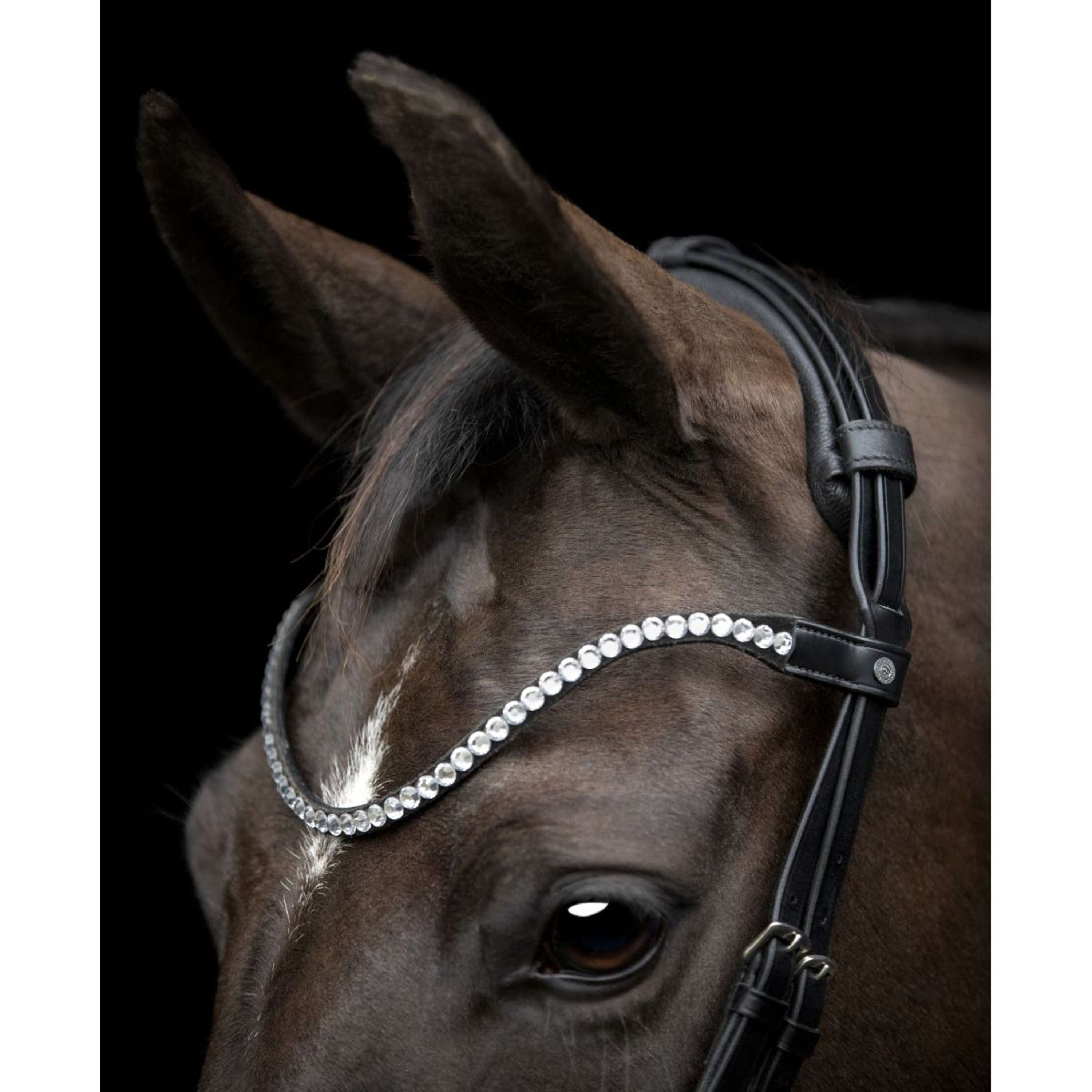 Catago Browband Gentle Black
