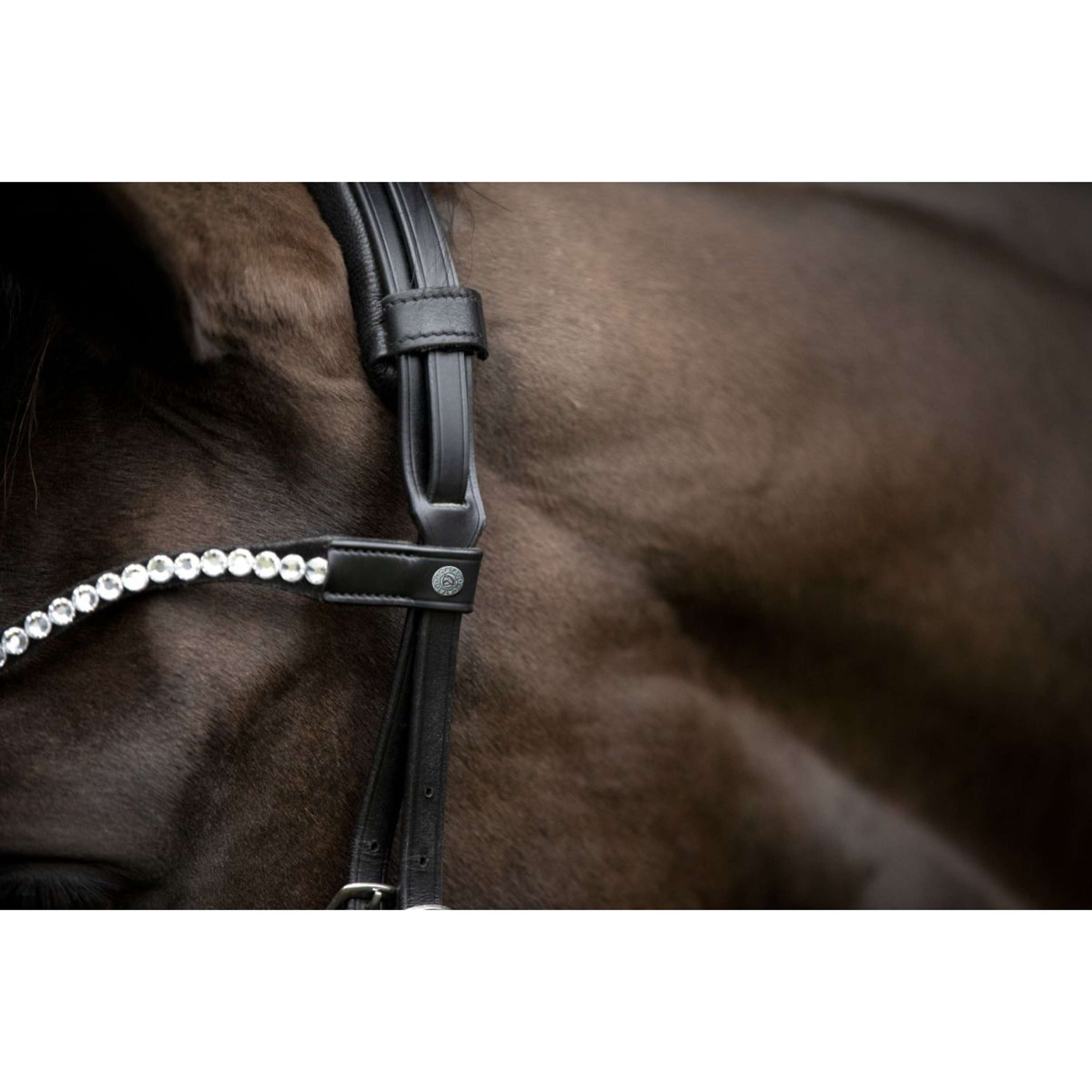 Catago Browband Gentle Black
