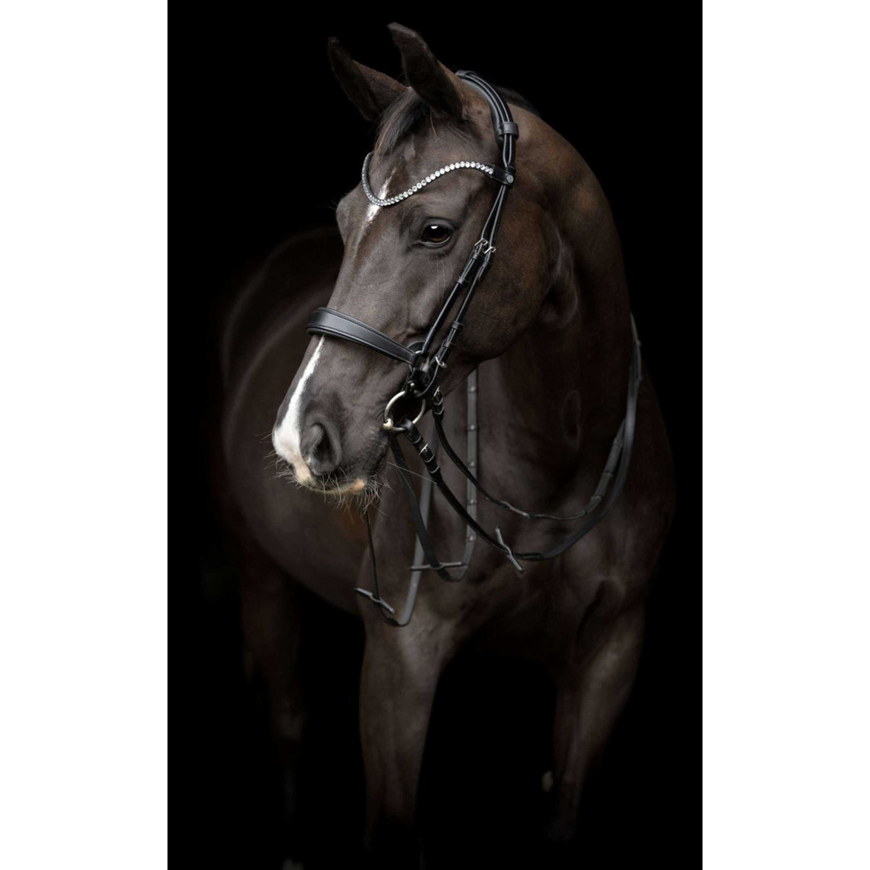 Catago Browband Gentle Black