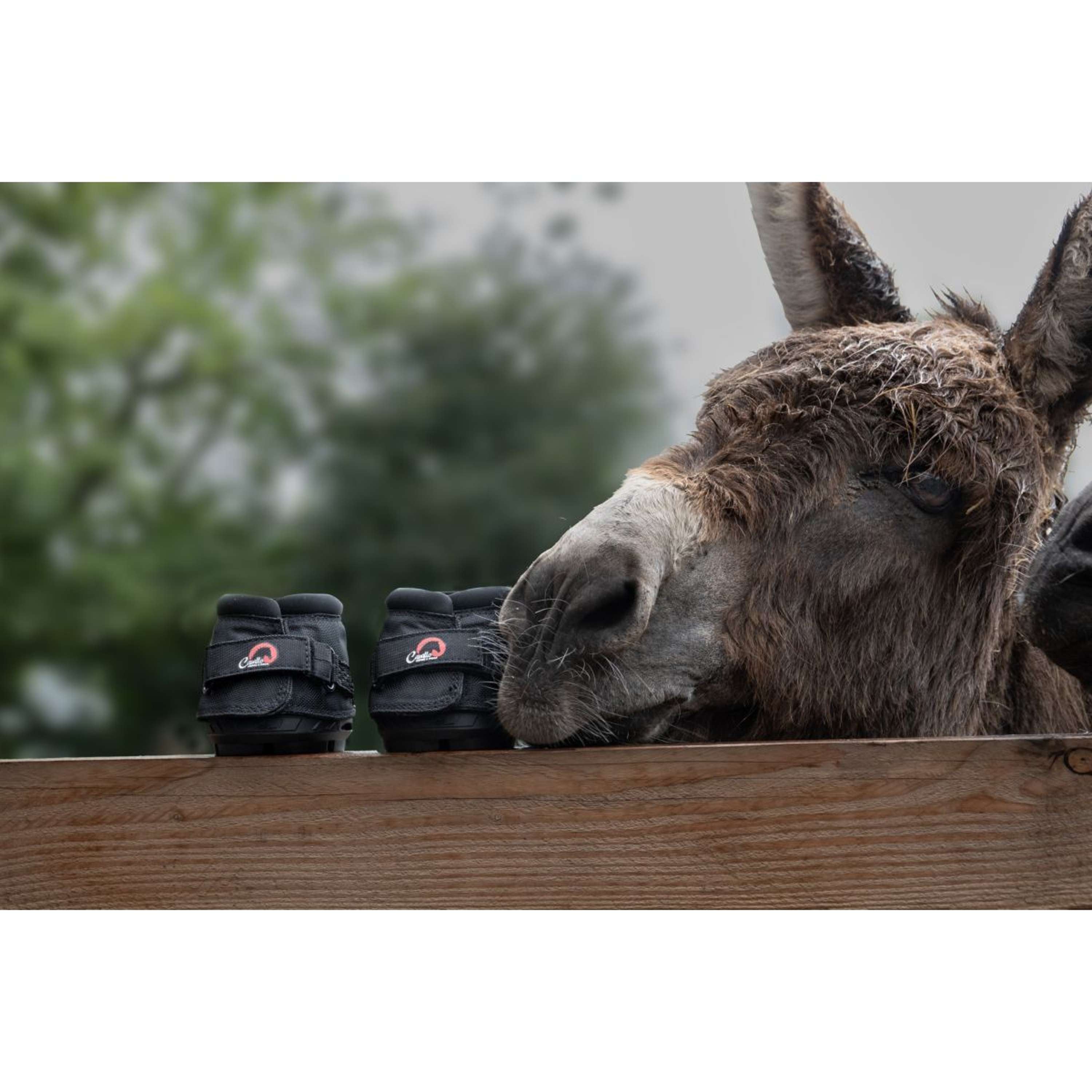 F.R.A. Cavallo Donkey/Long Ear Boot Black