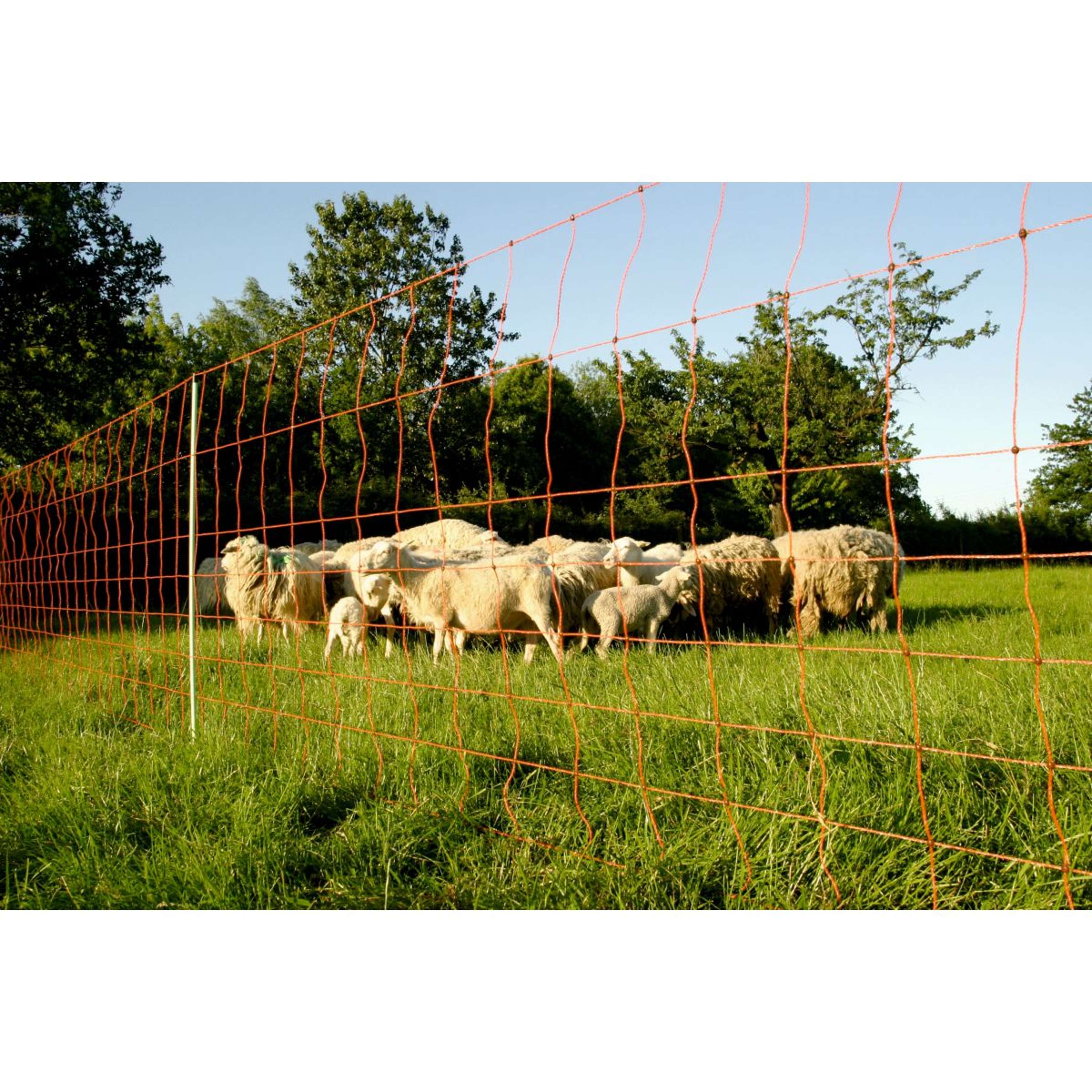 Euro-Netz Sheep Fencing Net Plus