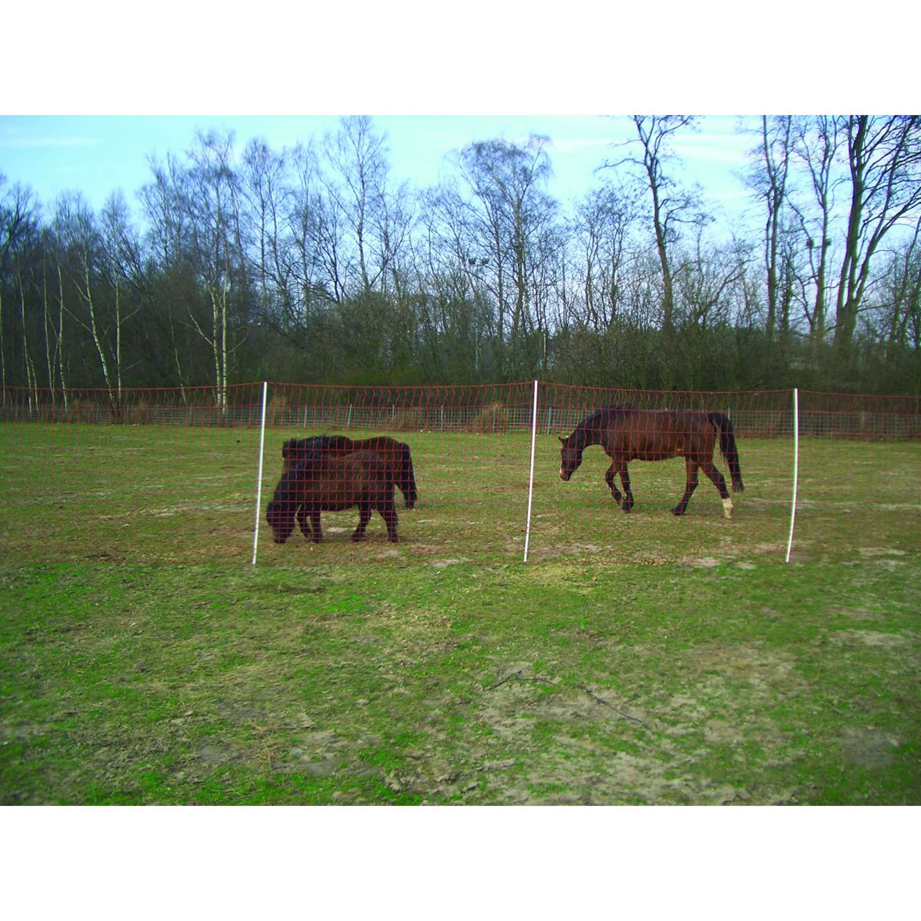 Euro-Netz Electric Fence Mustang Fine Mesh