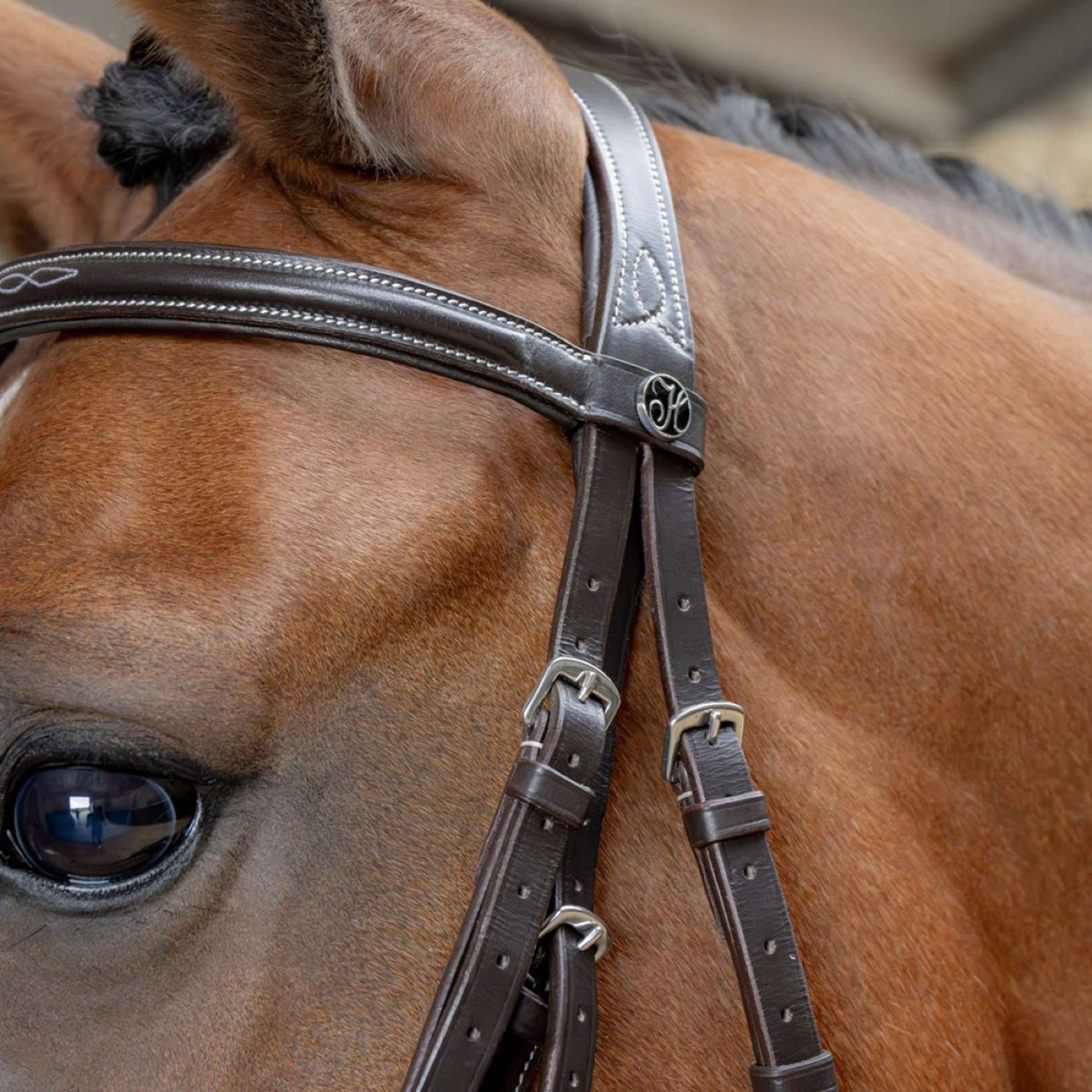 Harry's Horse Mexican Bridle Anatomic Brown