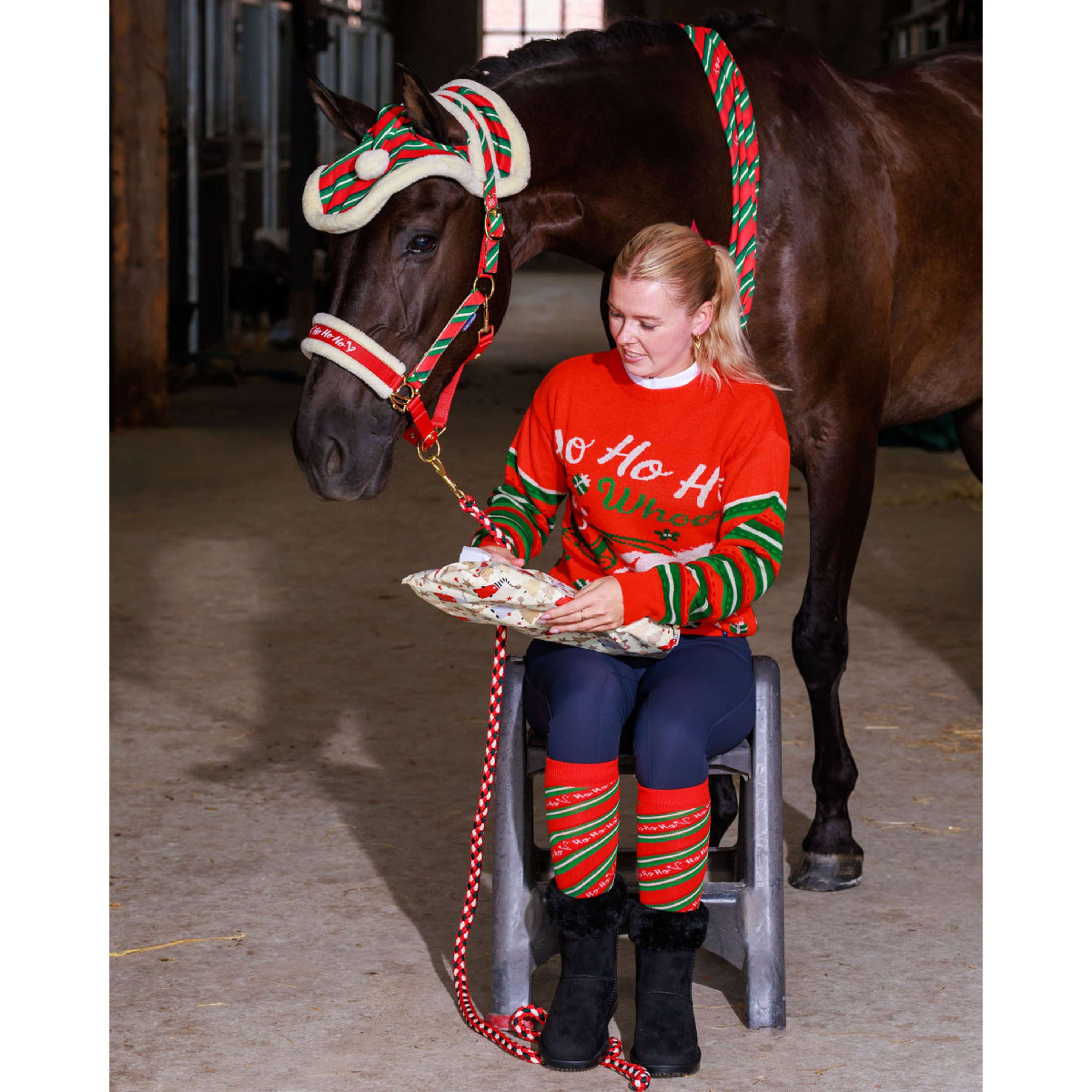 Harry's Horse Sweater Christmas '26 Red