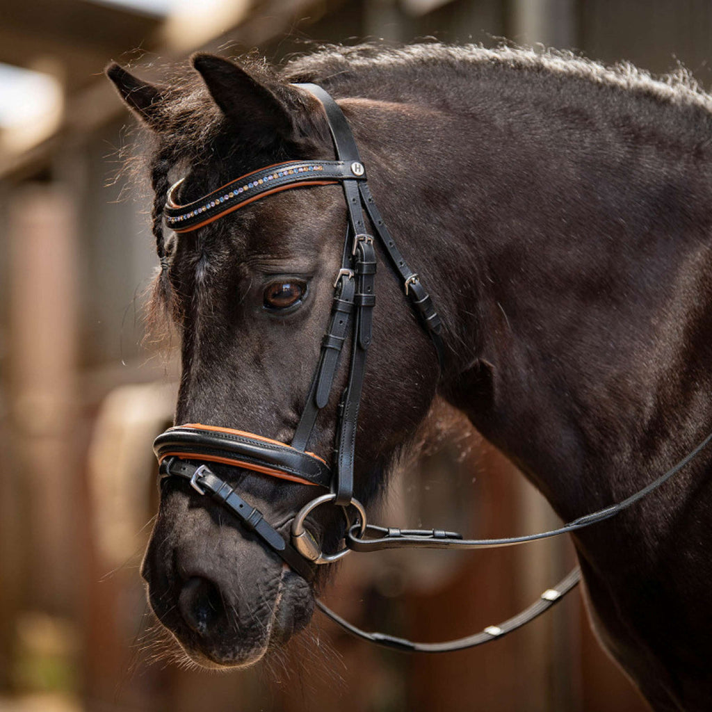 Harry's Horse Bridle STOUT! Maverick Black