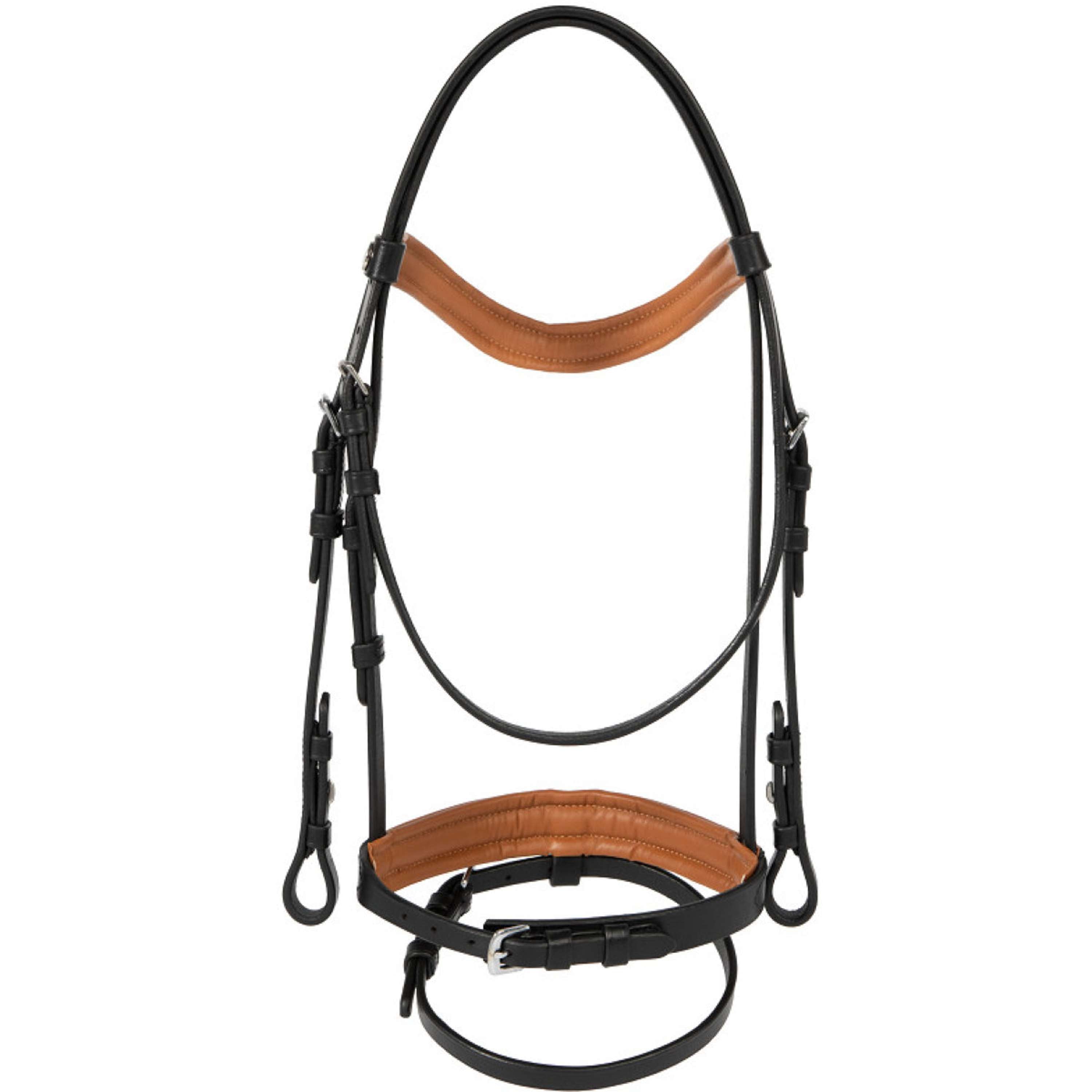 Harry's Horse Bridle STOUT! Maverick Black