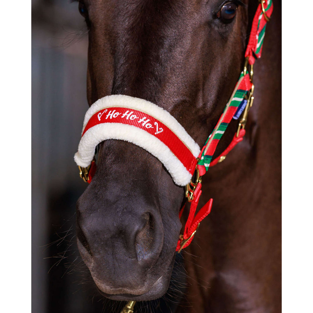 Harry's Horse Headcollar Set and Ear Bonnet Christmas '26 Red