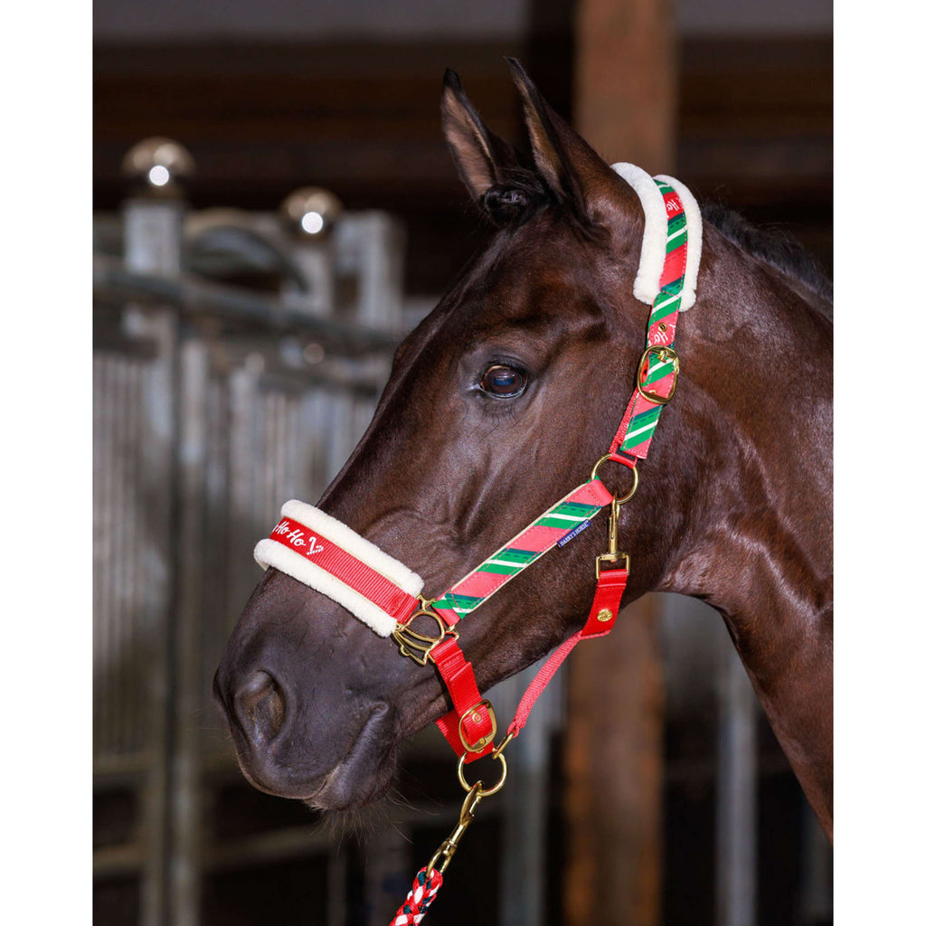 Harry's Horse Headcollar Set and Ear Bonnet Christmas '26 Red