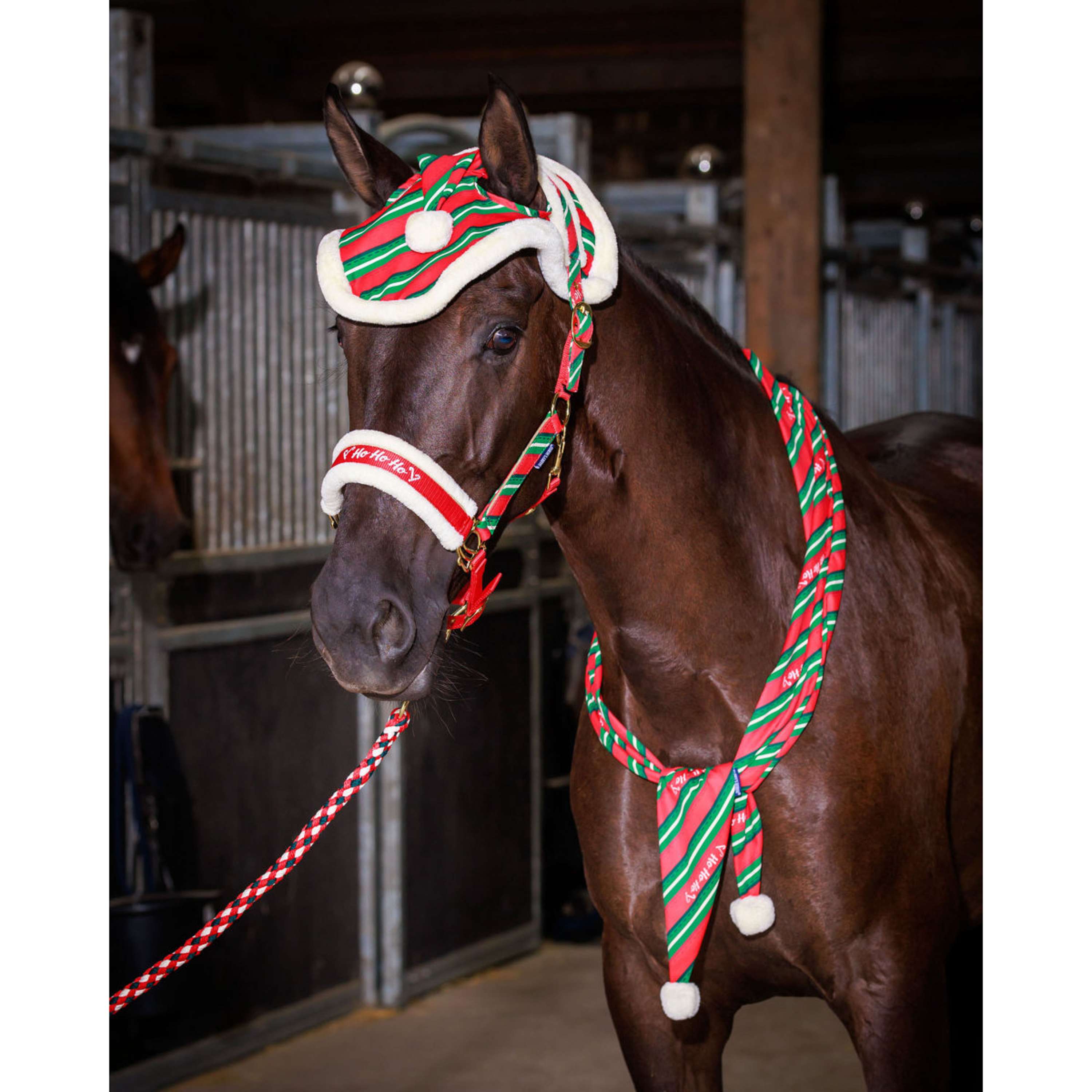 Harry's Horse Headcollar Set and Ear Bonnet Christmas '26 Red