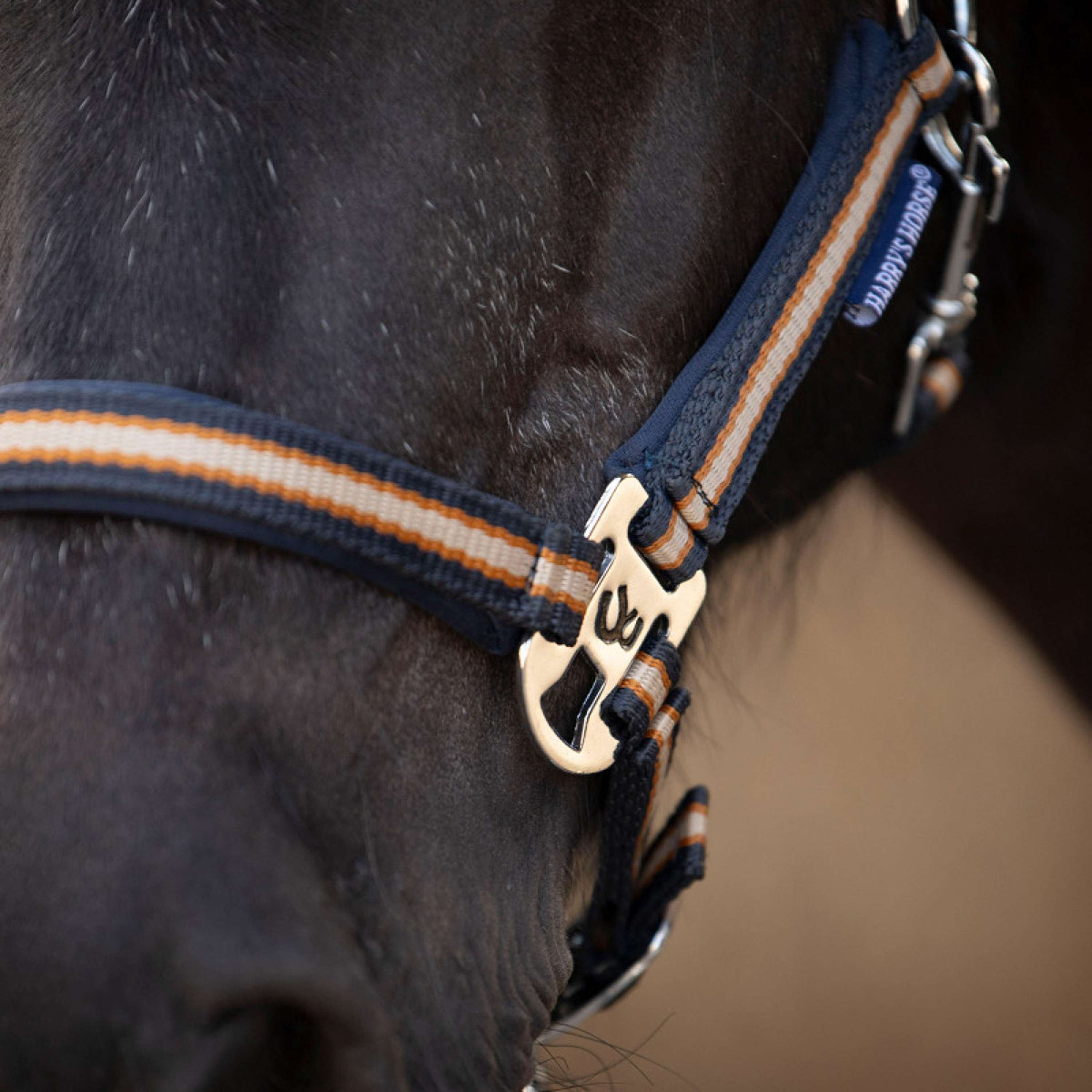 Harry's Horse Halter Set STOUT! Maverick Total Eclipse