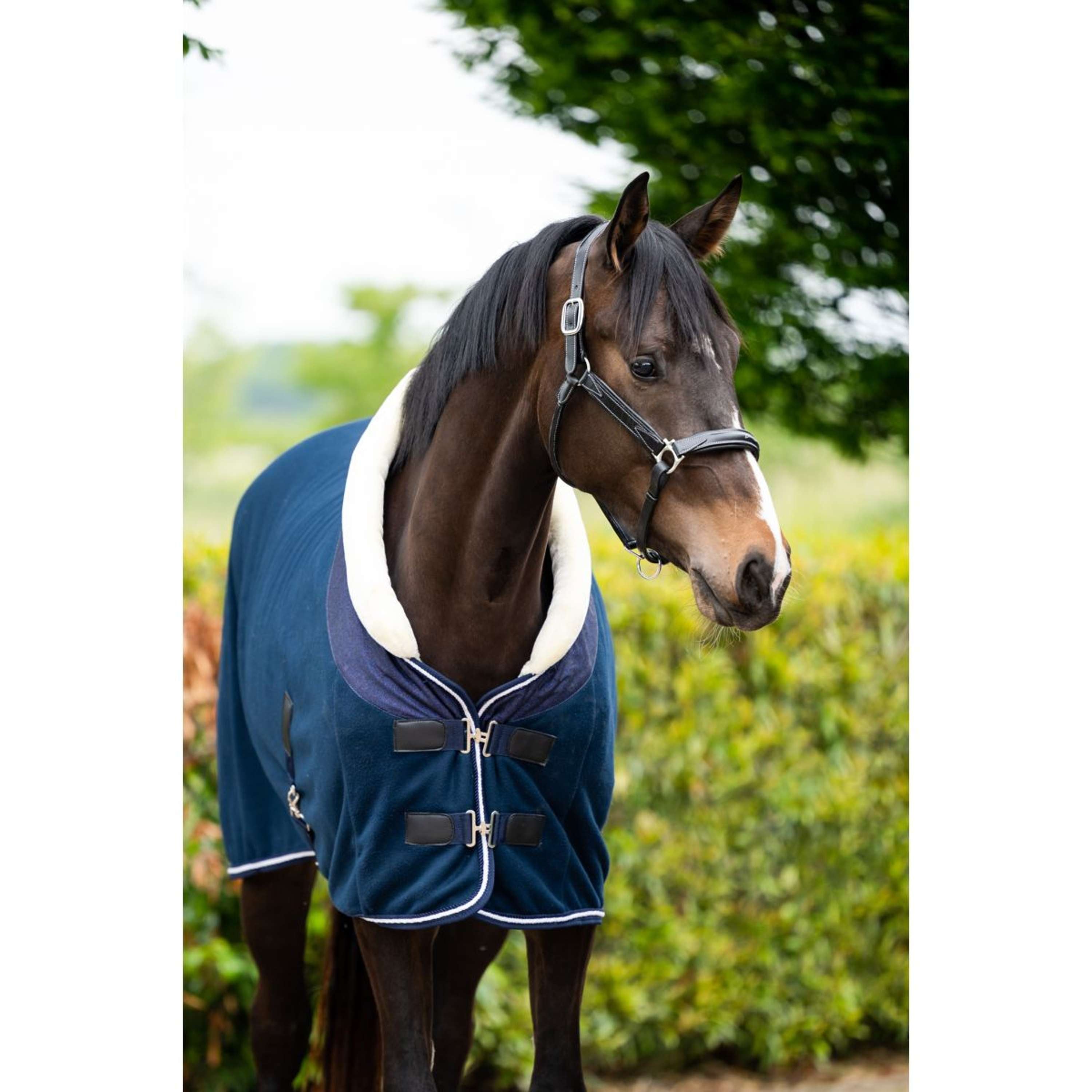 HB Showtime Show Rug Crown Navy