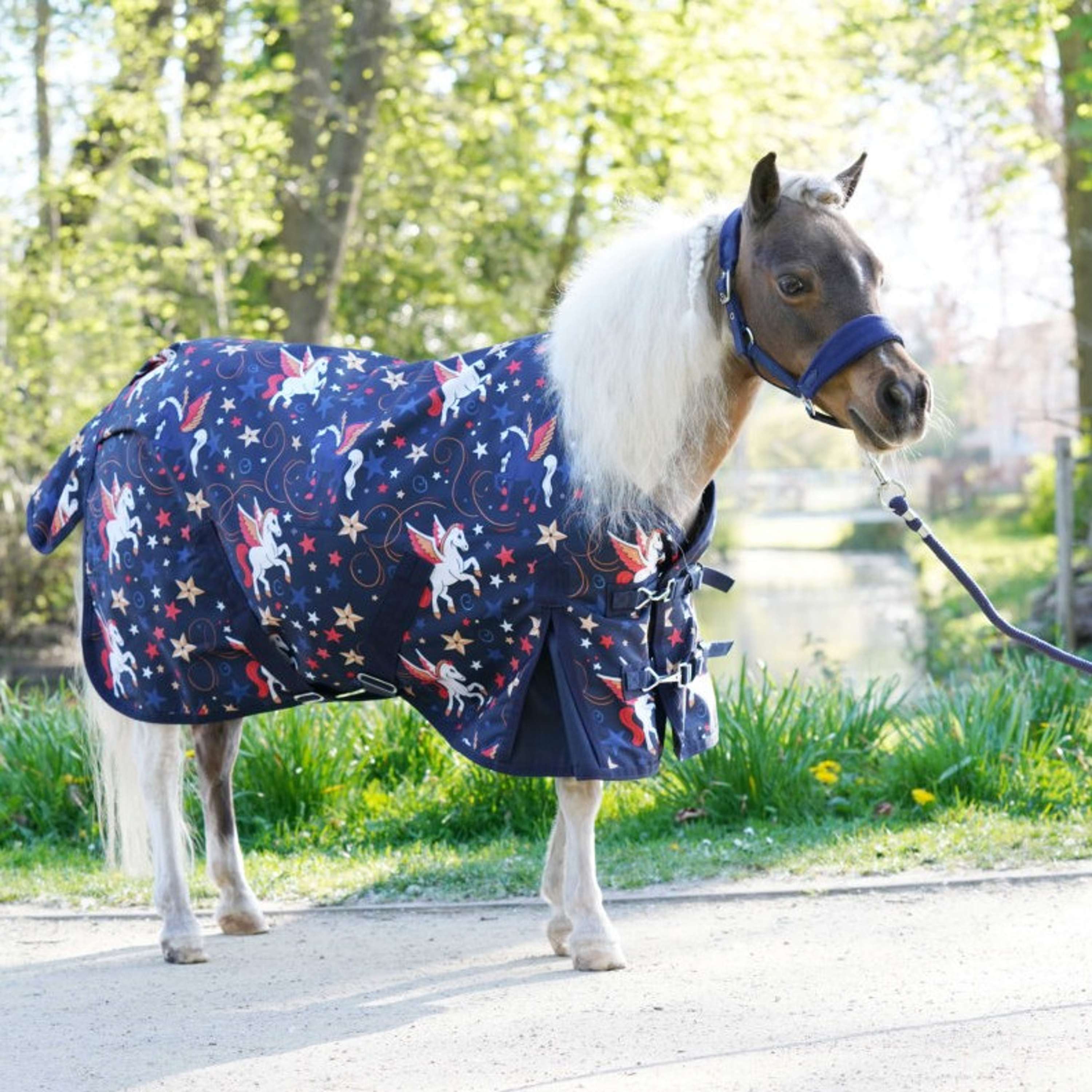 HB Outdoor Rug Little Sizes Navy Flying Horse