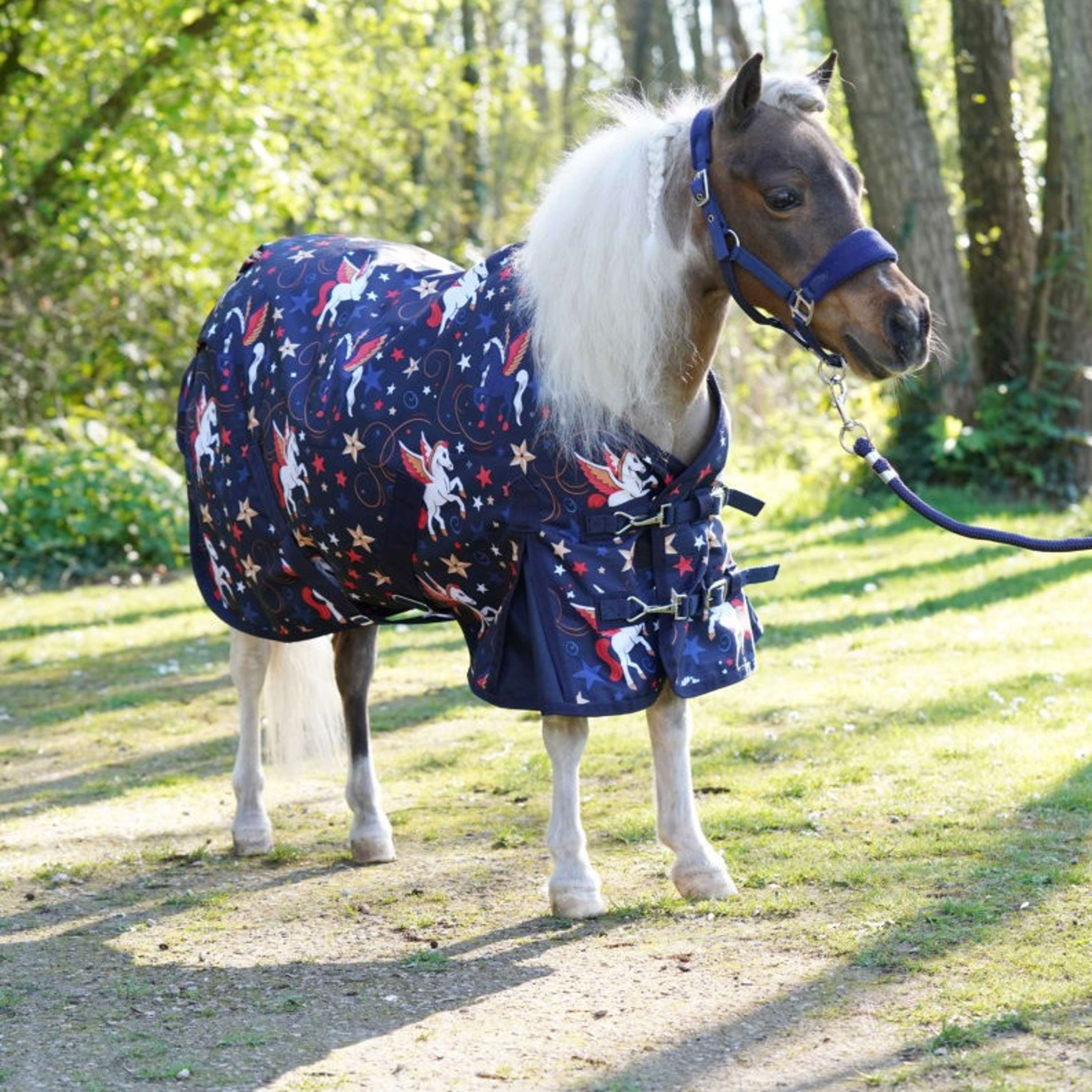 HB Outdoor Rug Little Sizes Navy Flying Horse