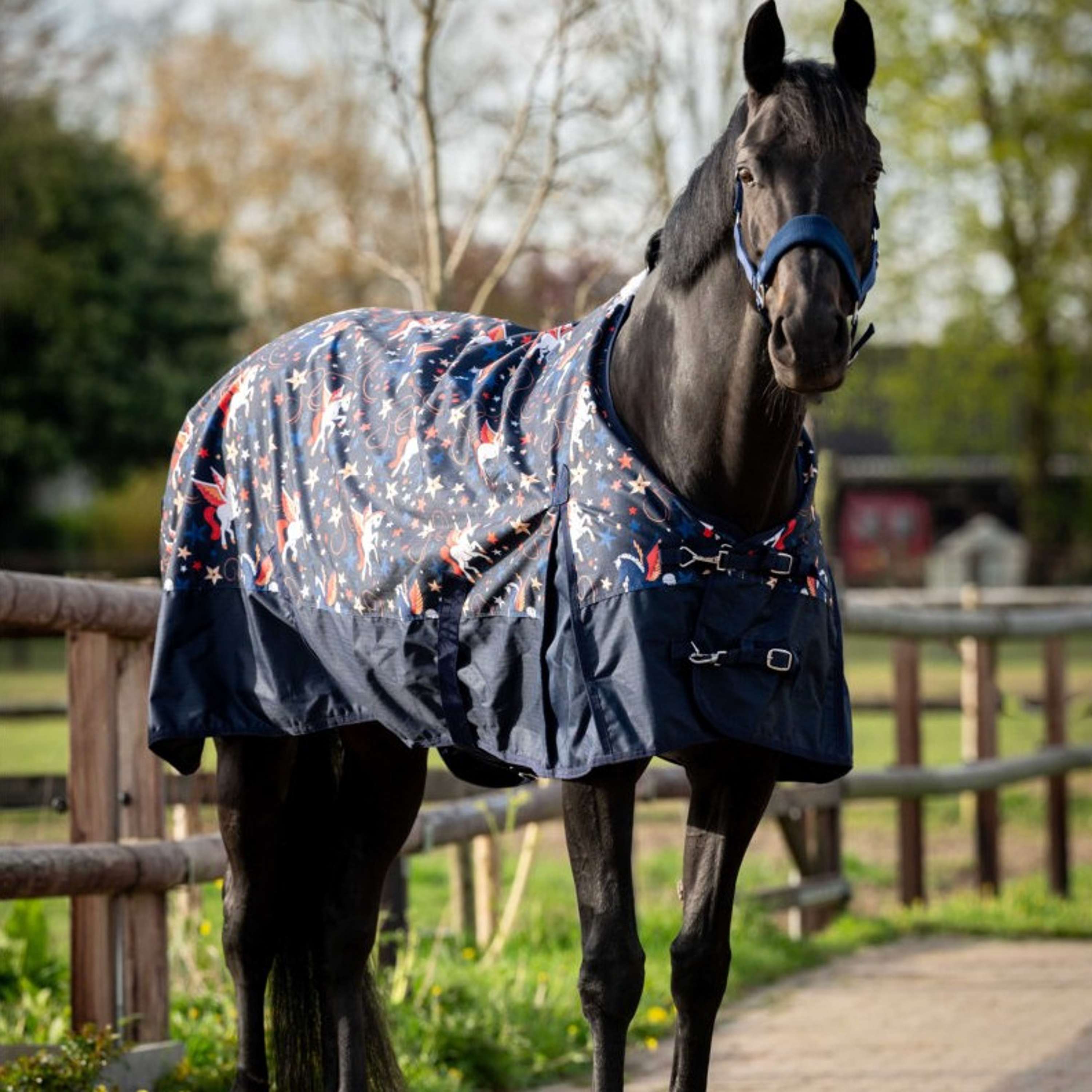 HB Outdoor Rug Navy Flying Horse