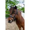 HB Ruitersport Bridle Showtime Leopard Black