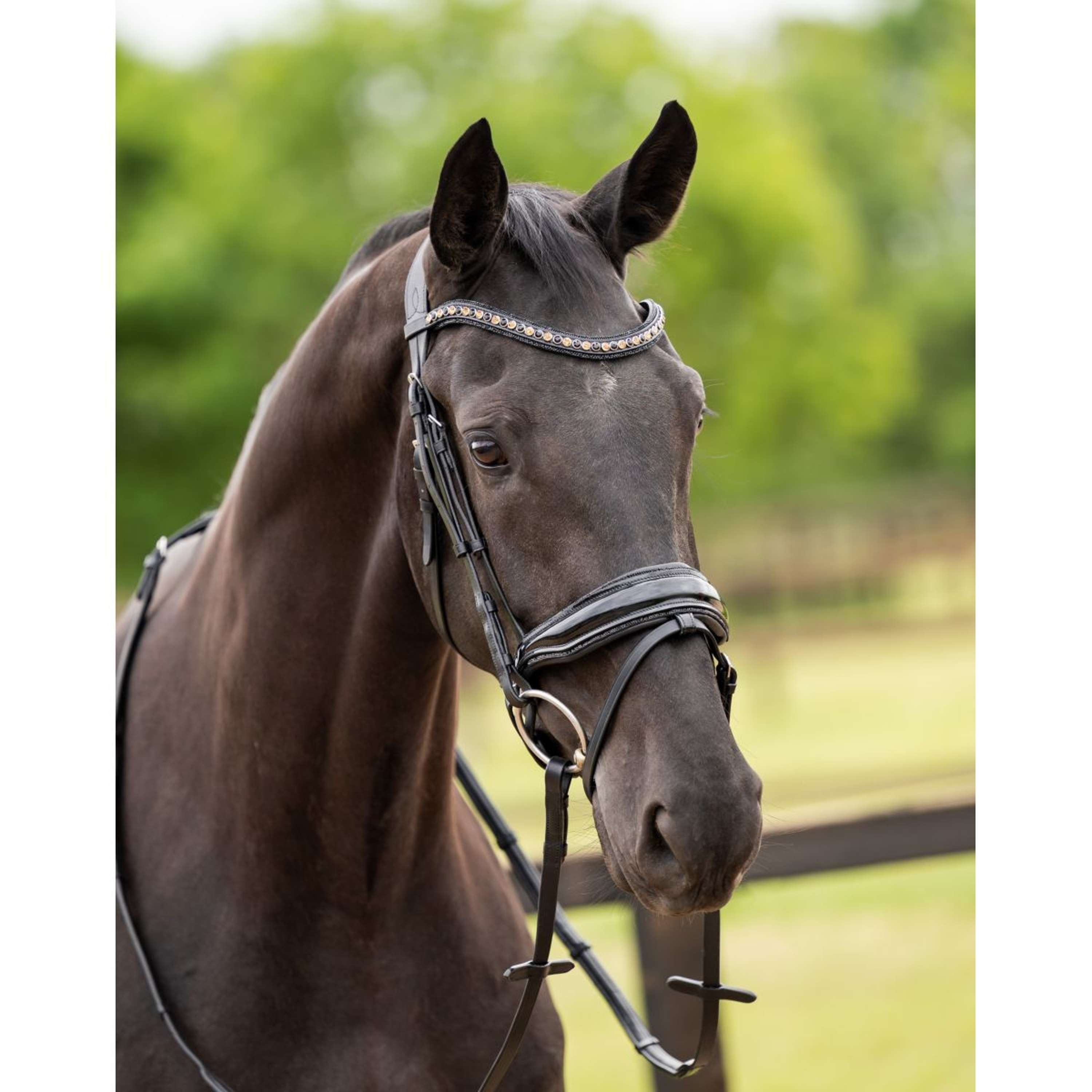 HB Showtime Bridle Las Vegas Black/Black Glitter