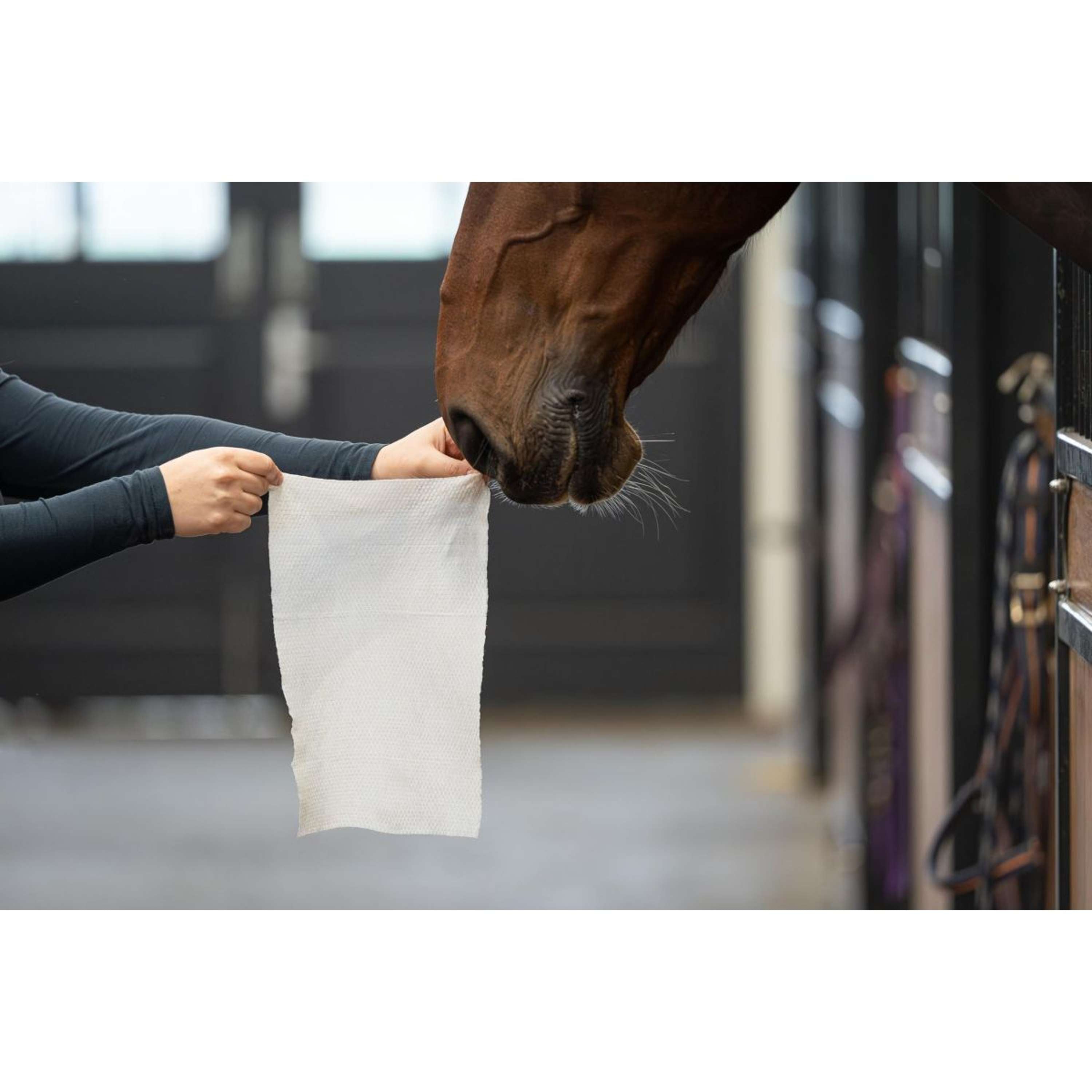 HB HorseWipes Natural Clean White