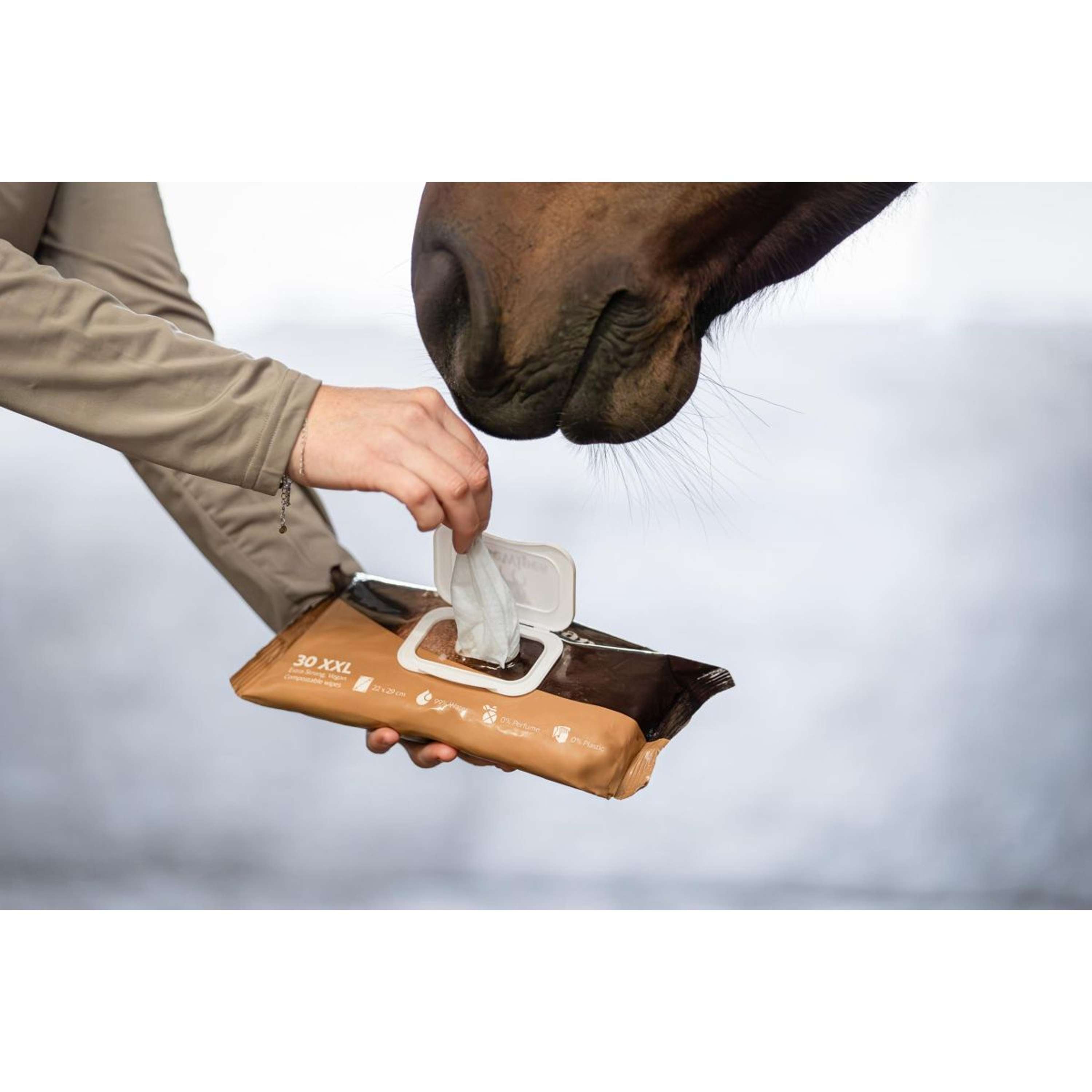 HB HorseWipes Natural Clean White