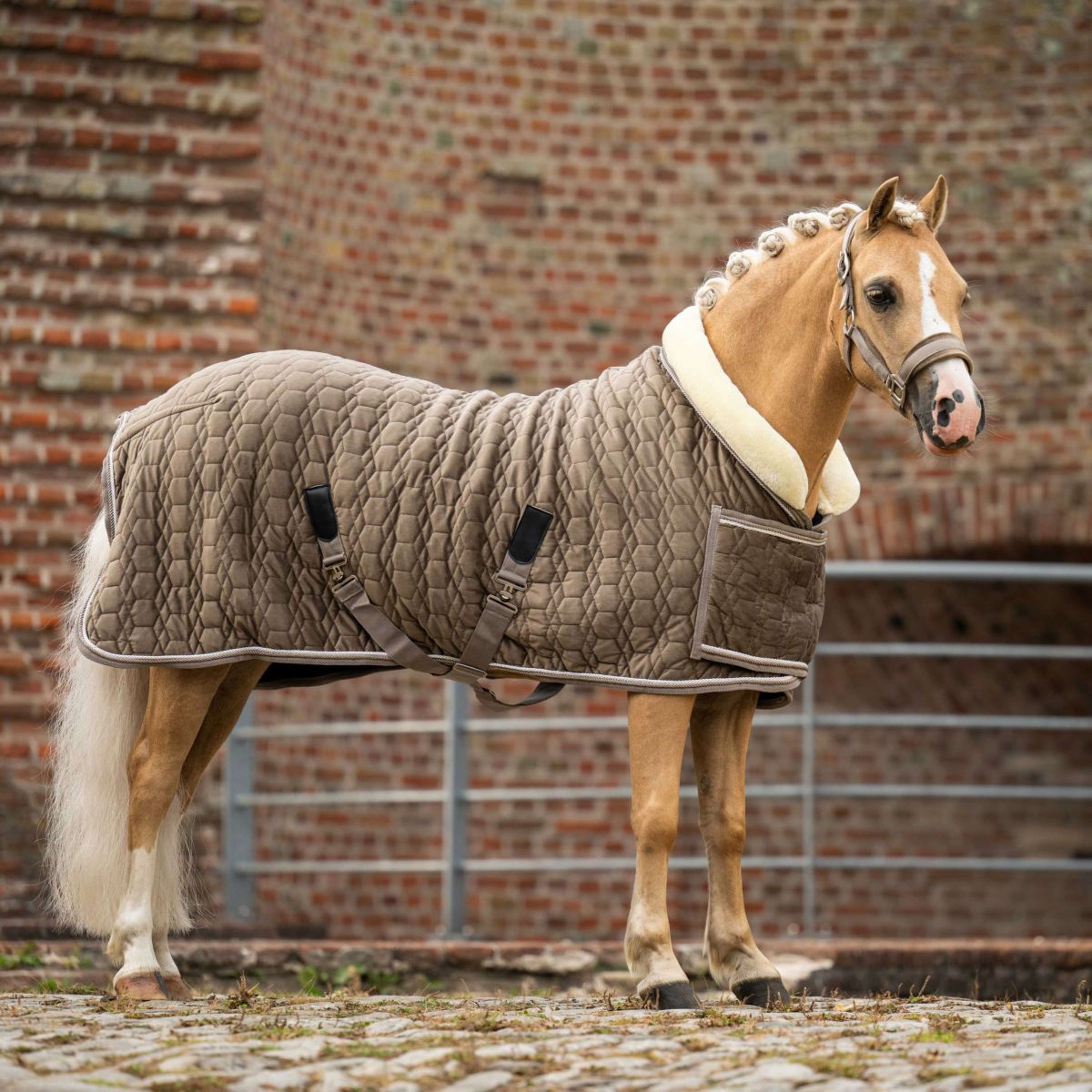 HB Ruitersport Show Rug Special Peach Taupe