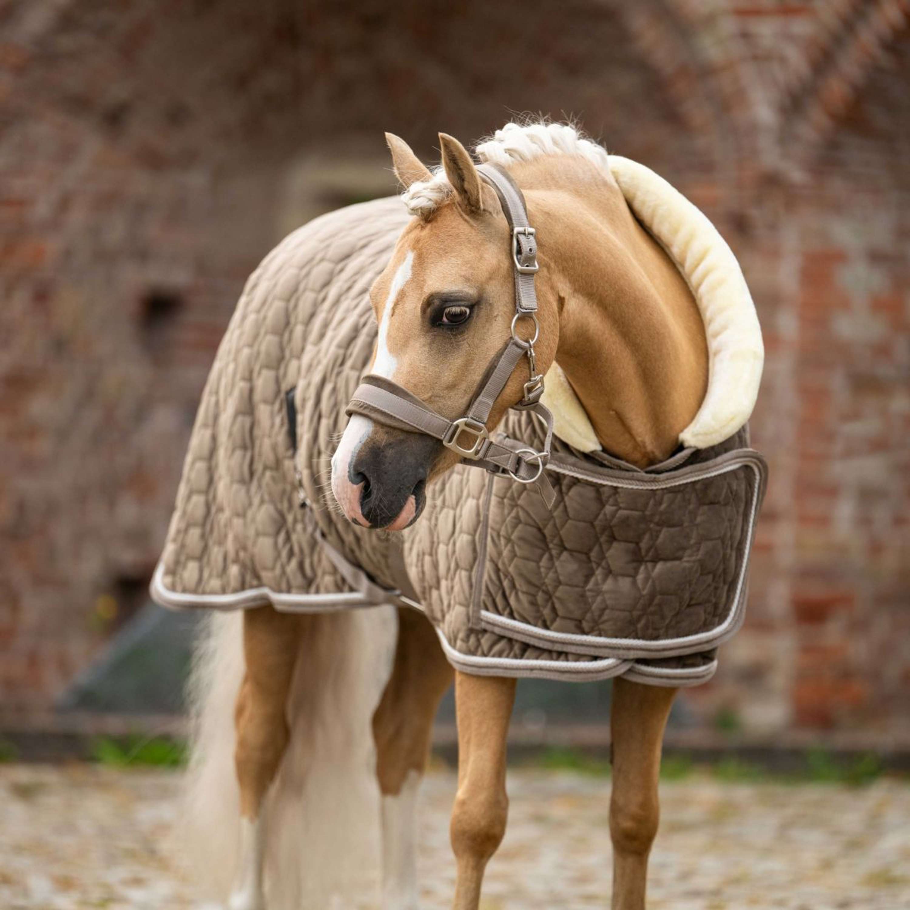 HB Ruitersport Show Rug Special Peach Taupe